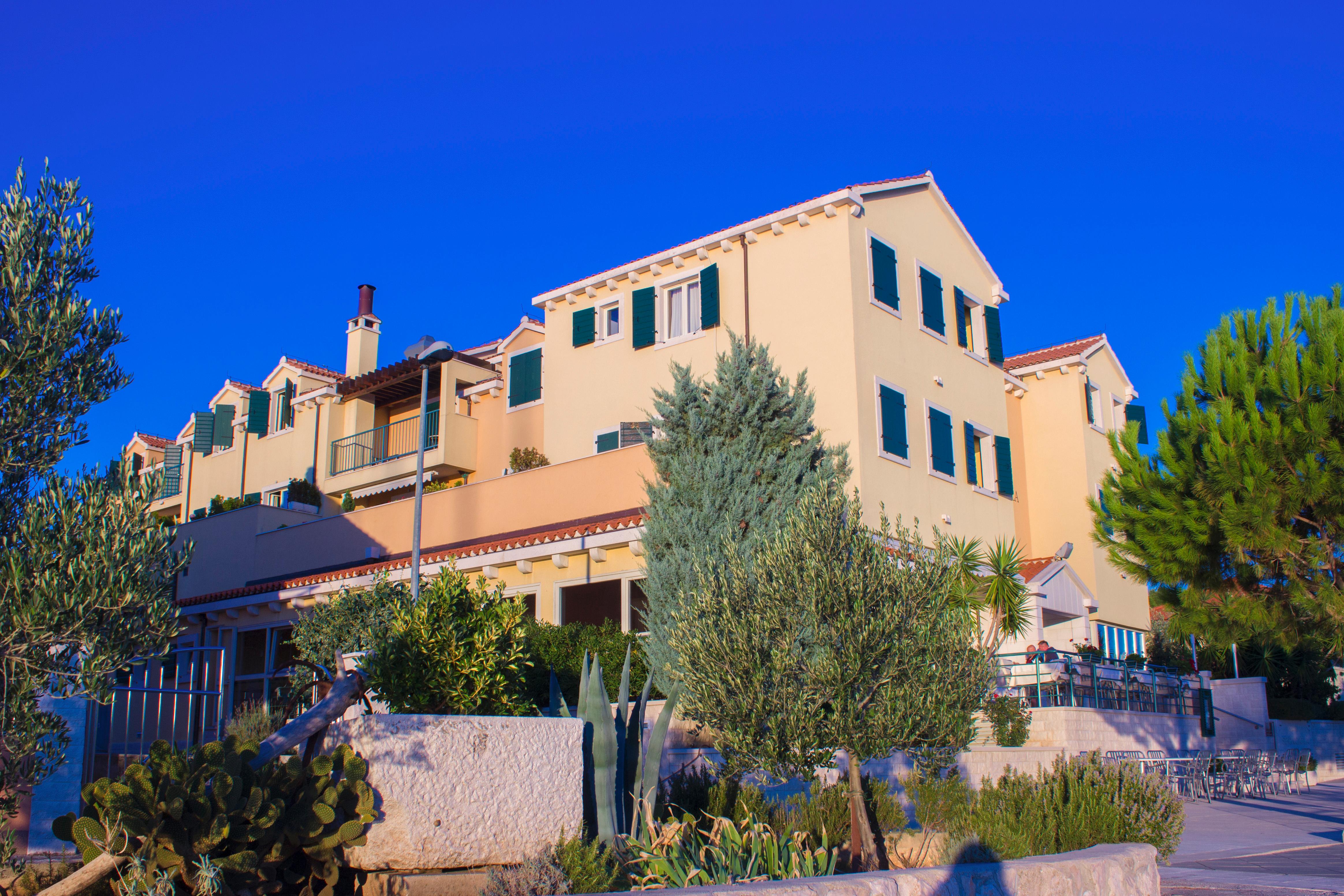 Spongiola - фото