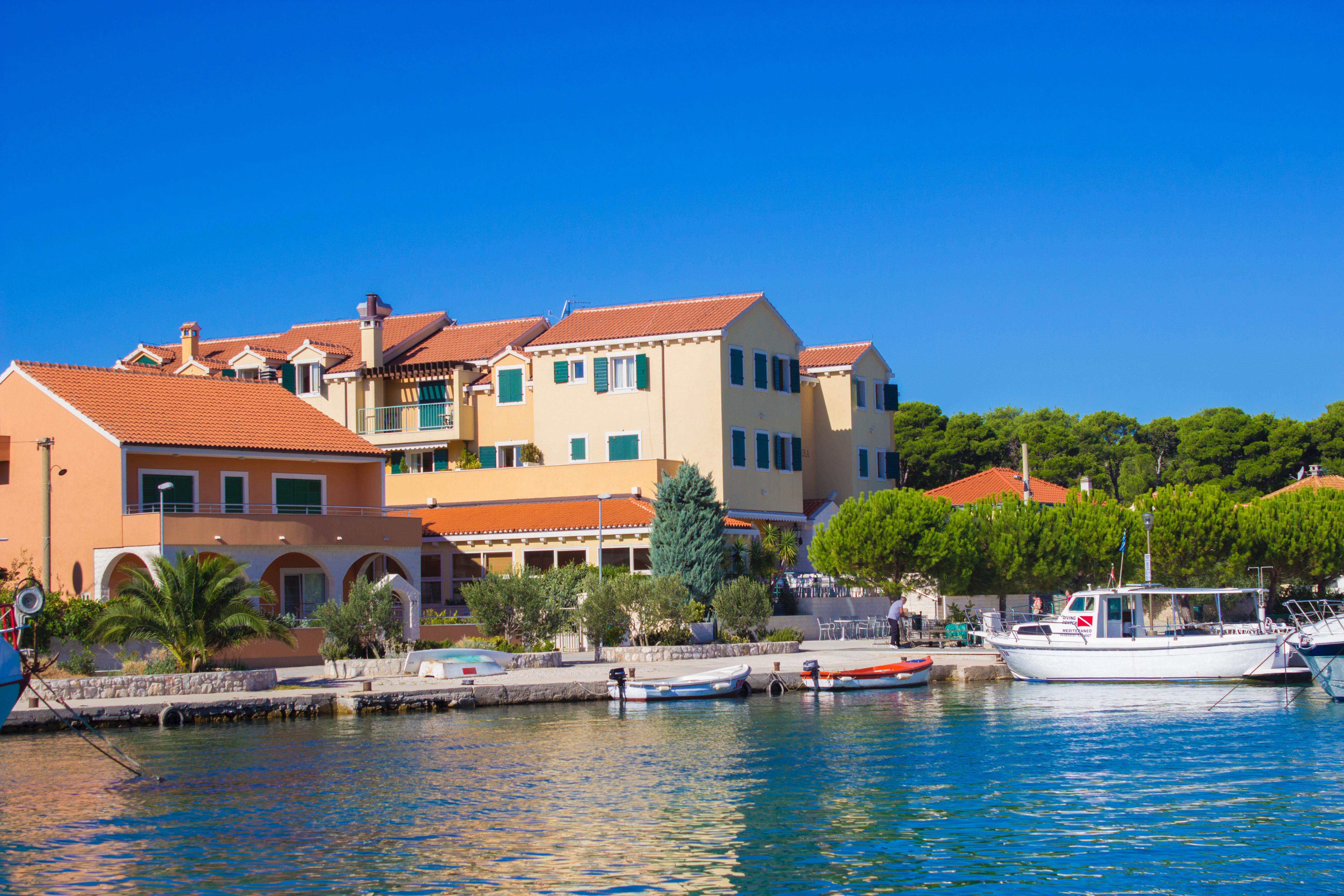 Spongiola - фото