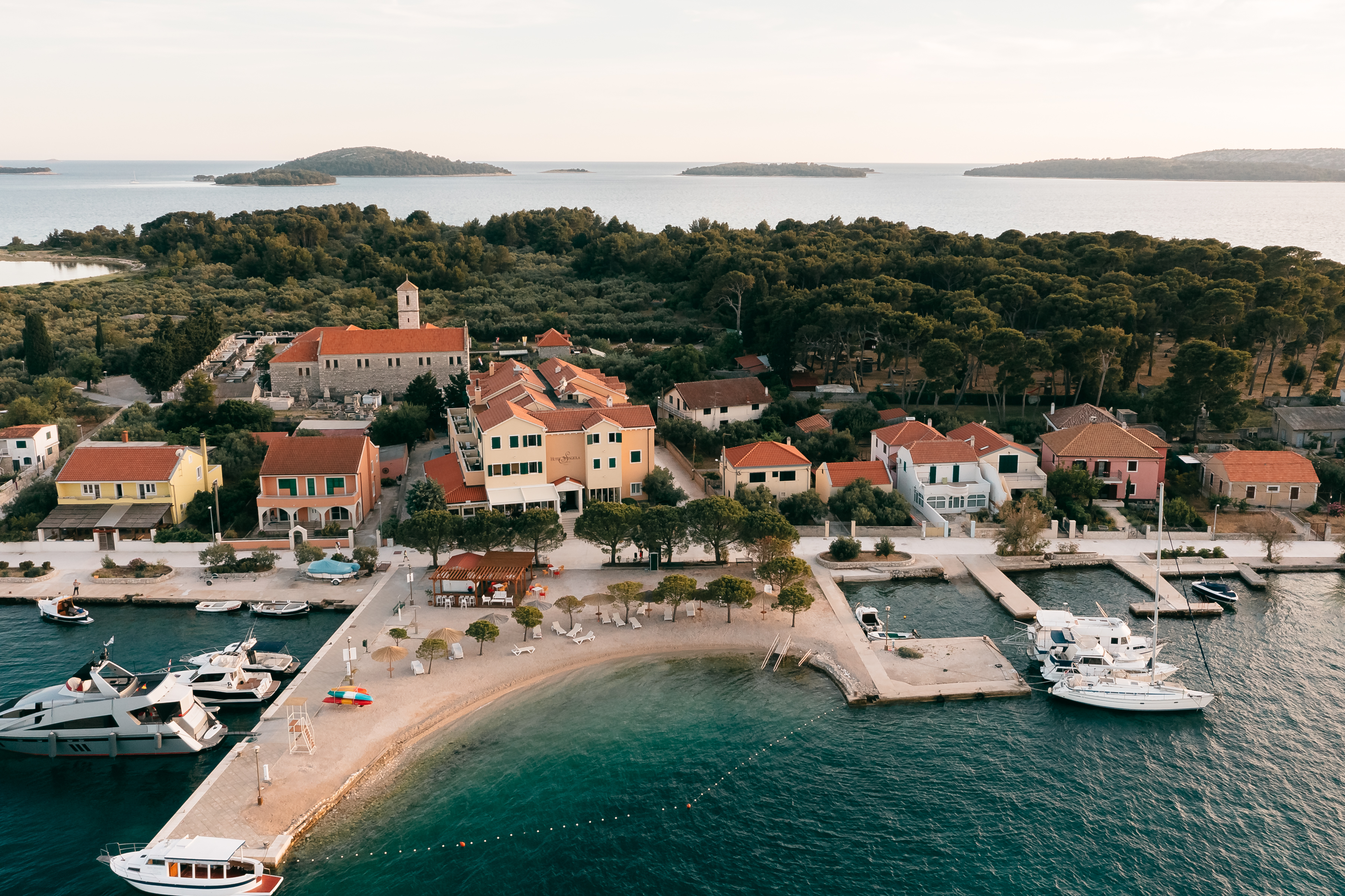 Spongiola - фото