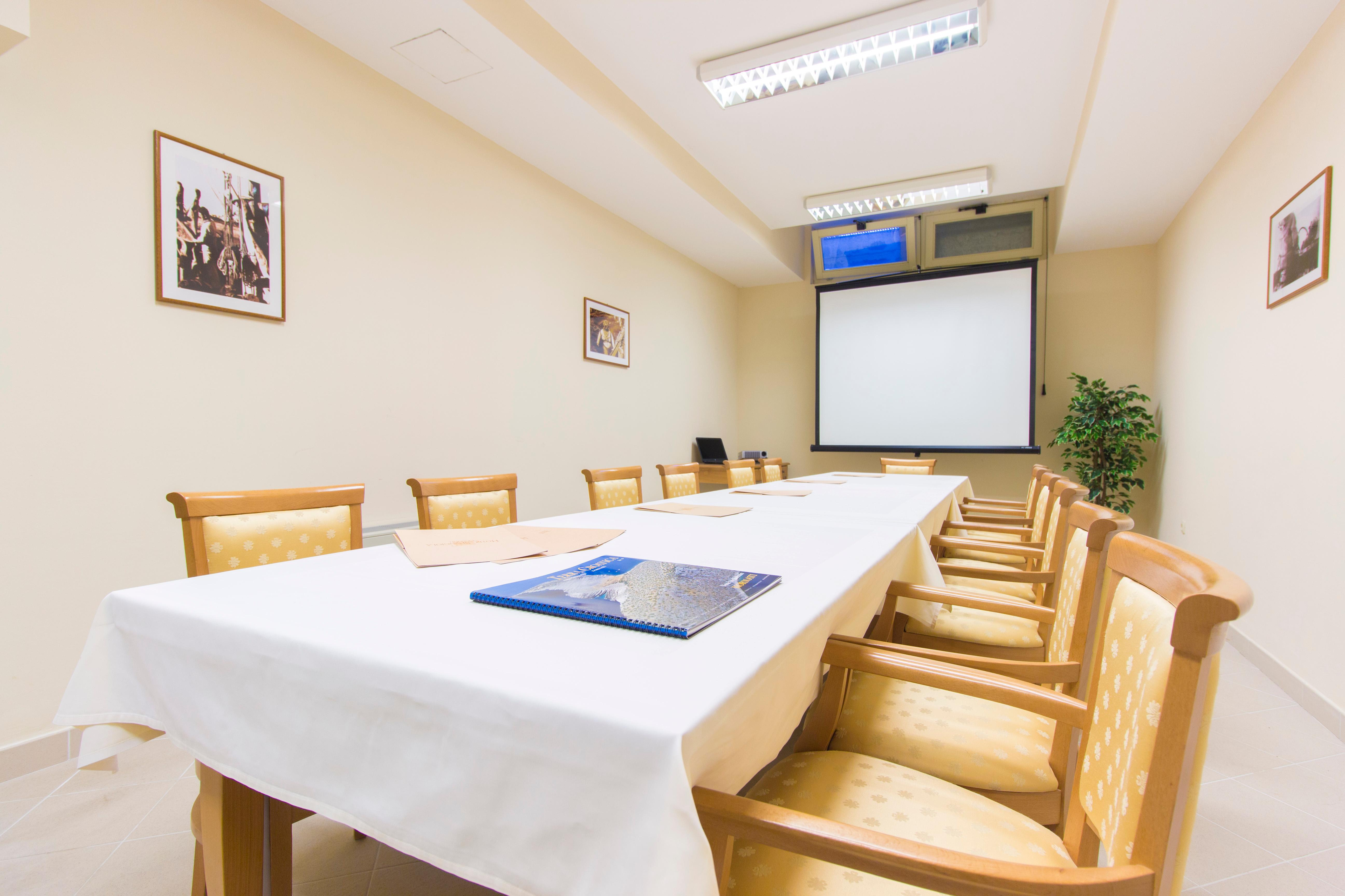 Spongiola - фото