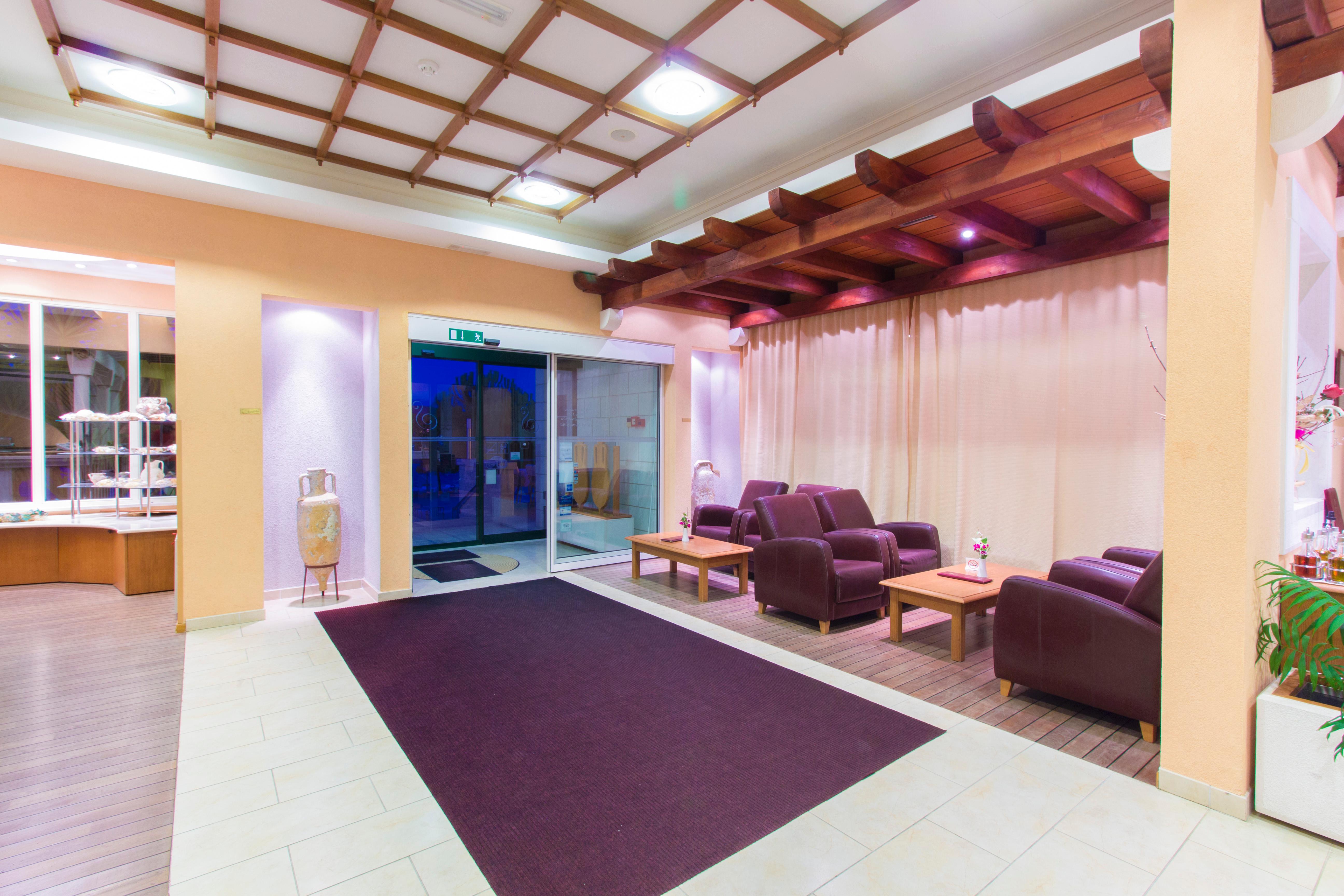 Spongiola - фото