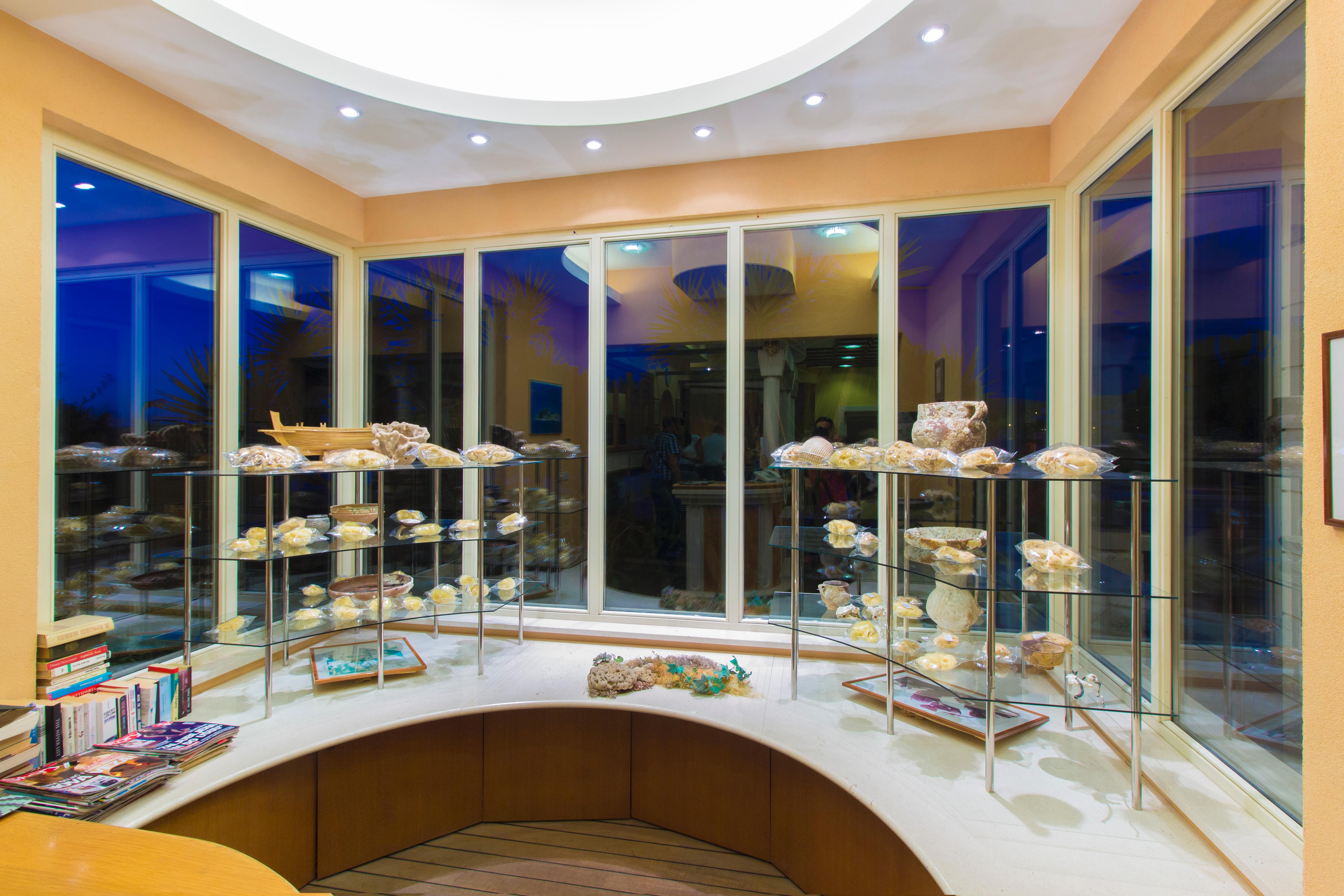 Spongiola - фото