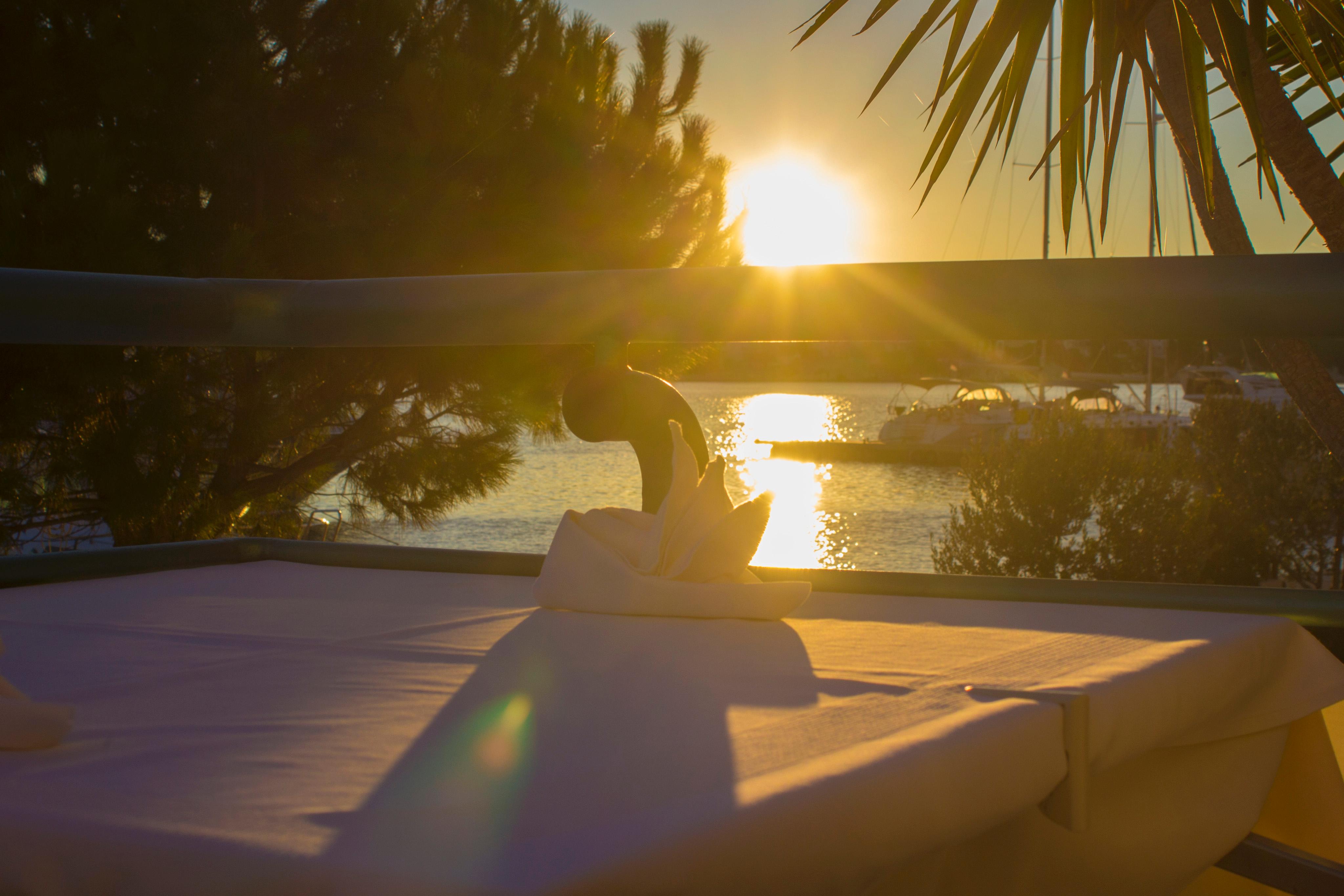 Spongiola - фото