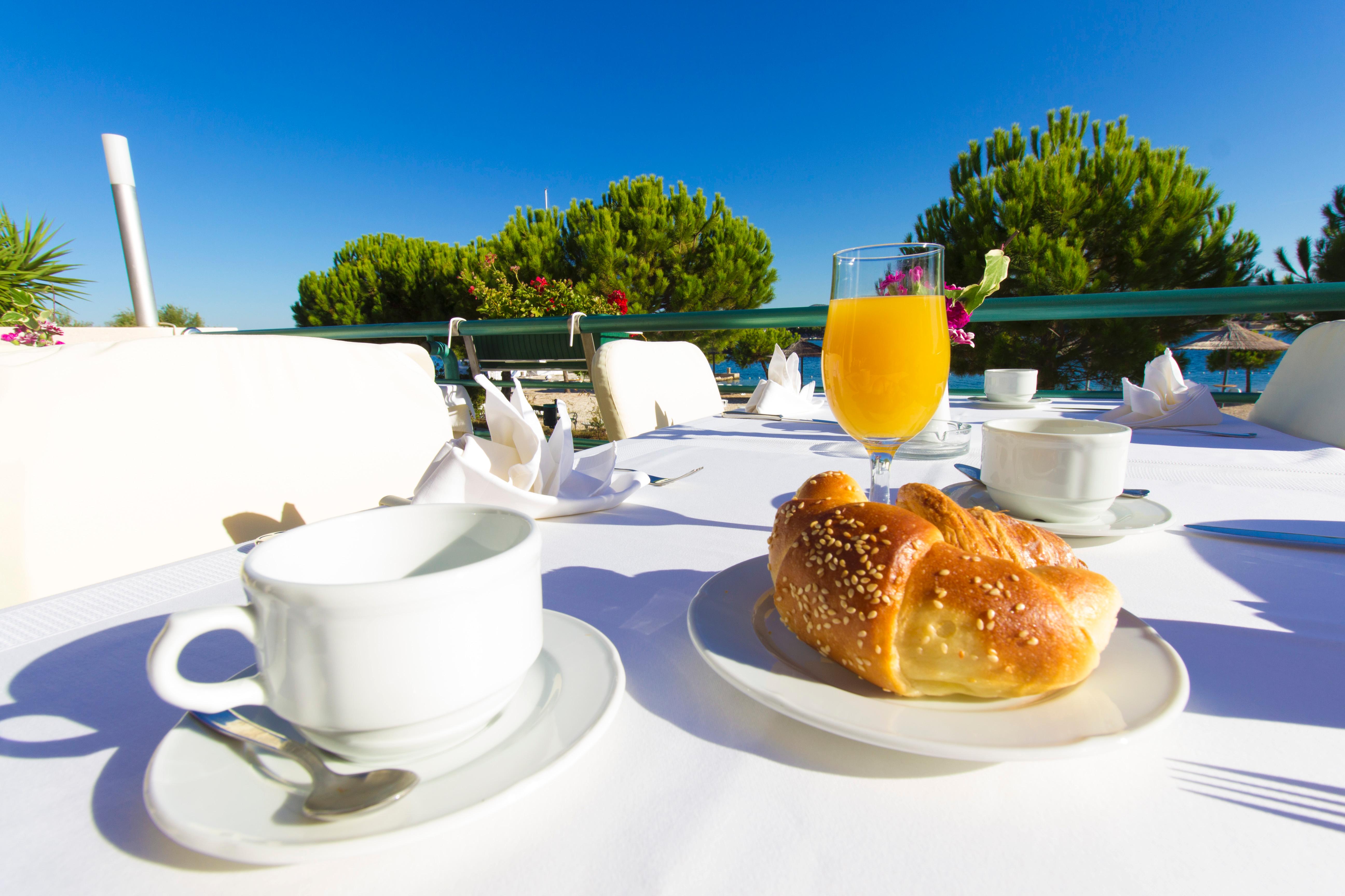 Spongiola - фото