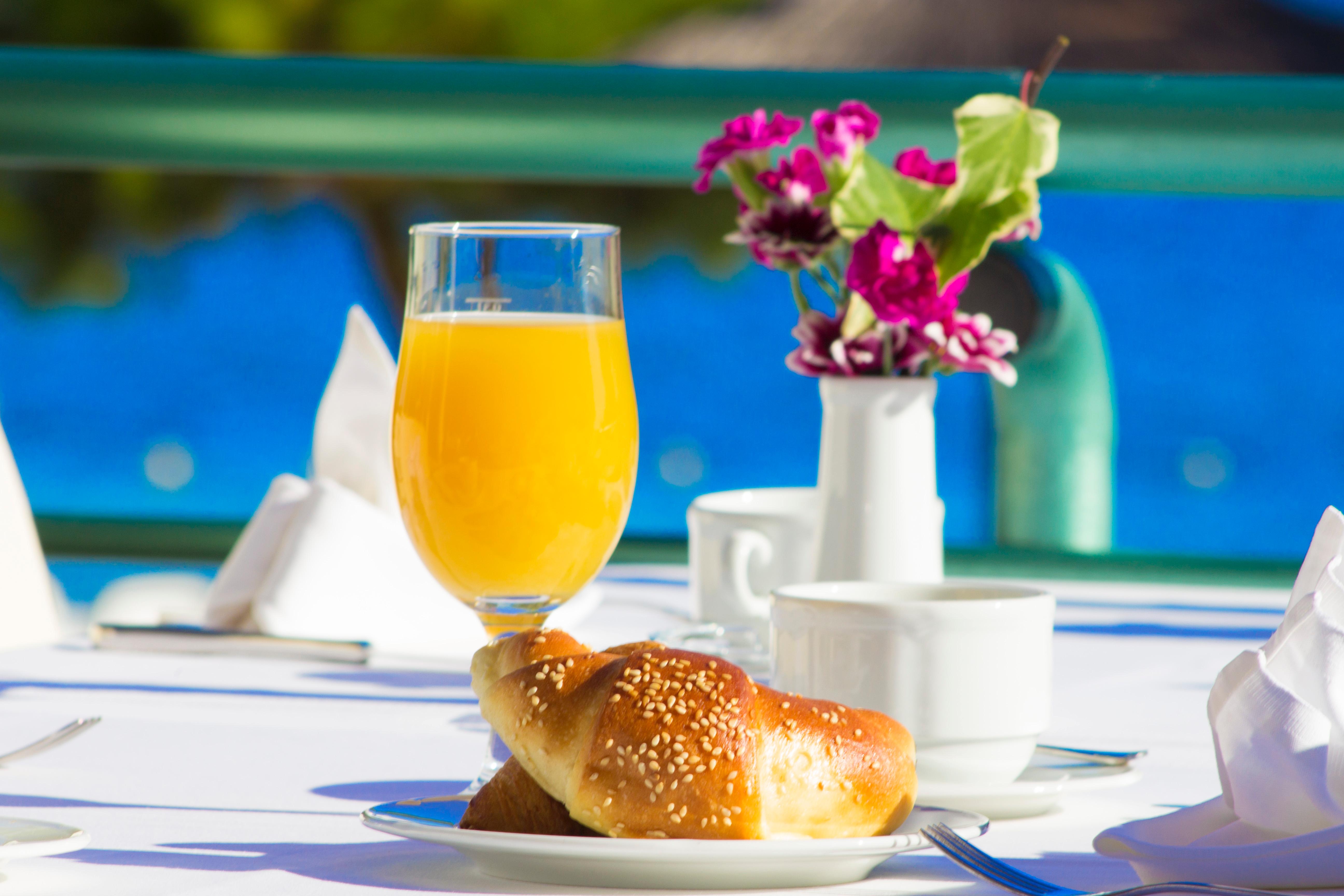 Spongiola - фото