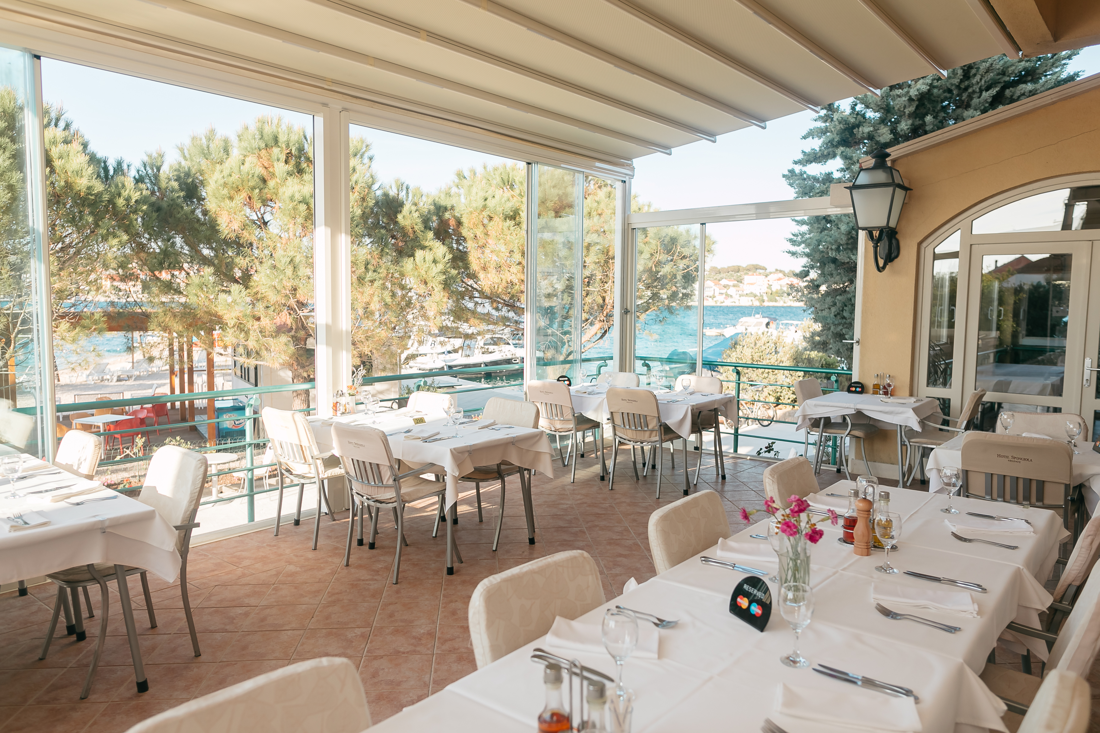 Spongiola - фото