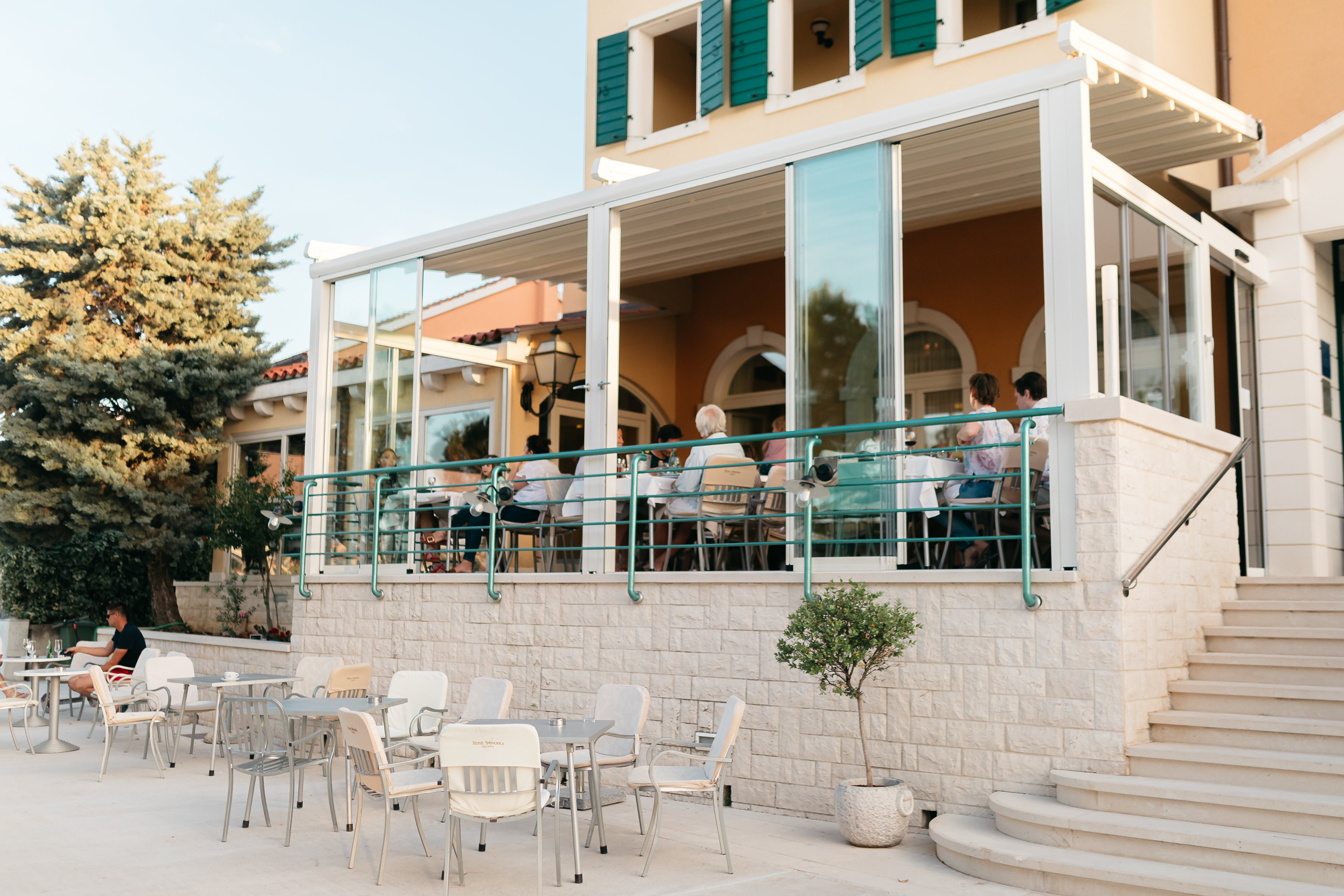 Spongiola - фото