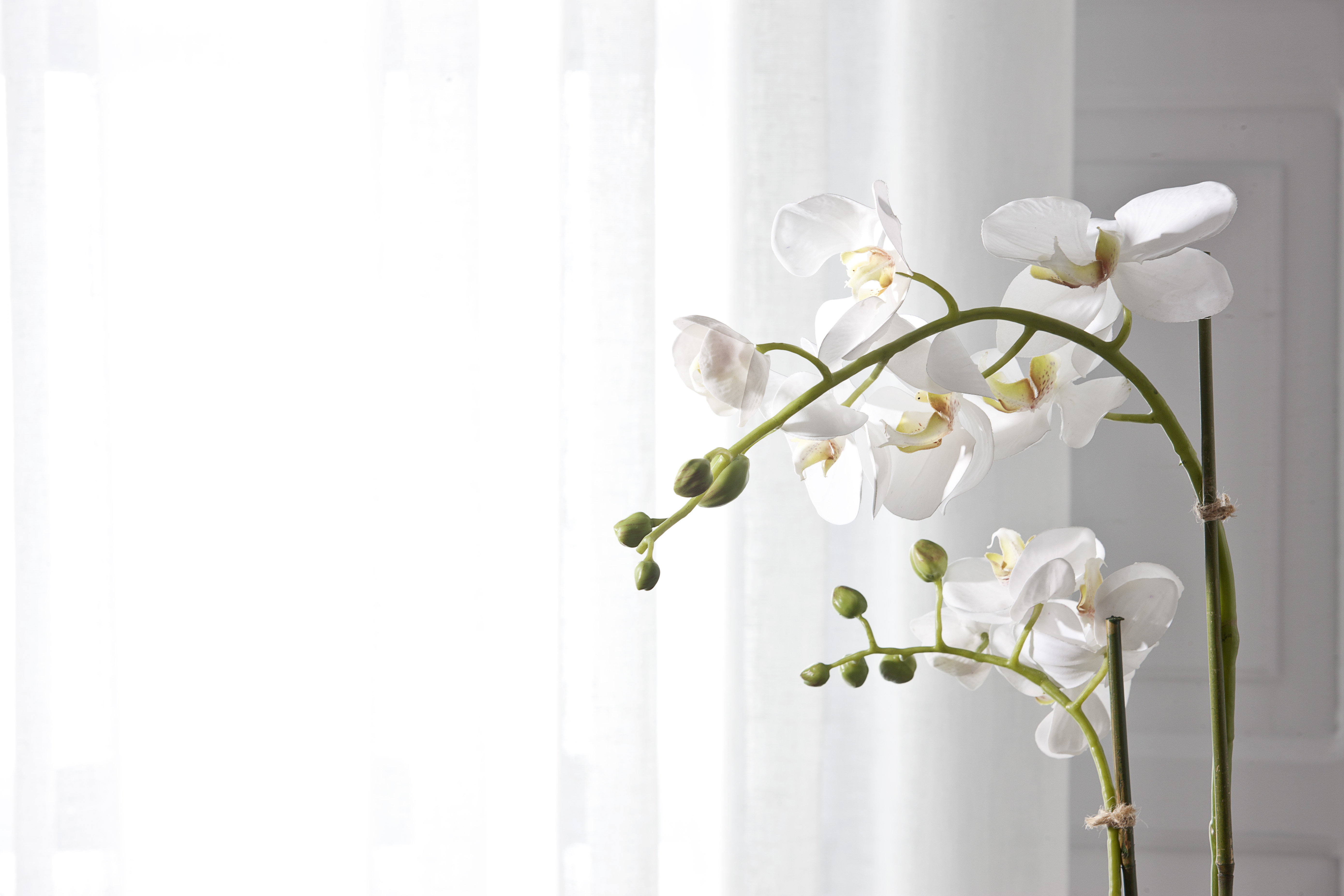 Belvedere Suites - Poză