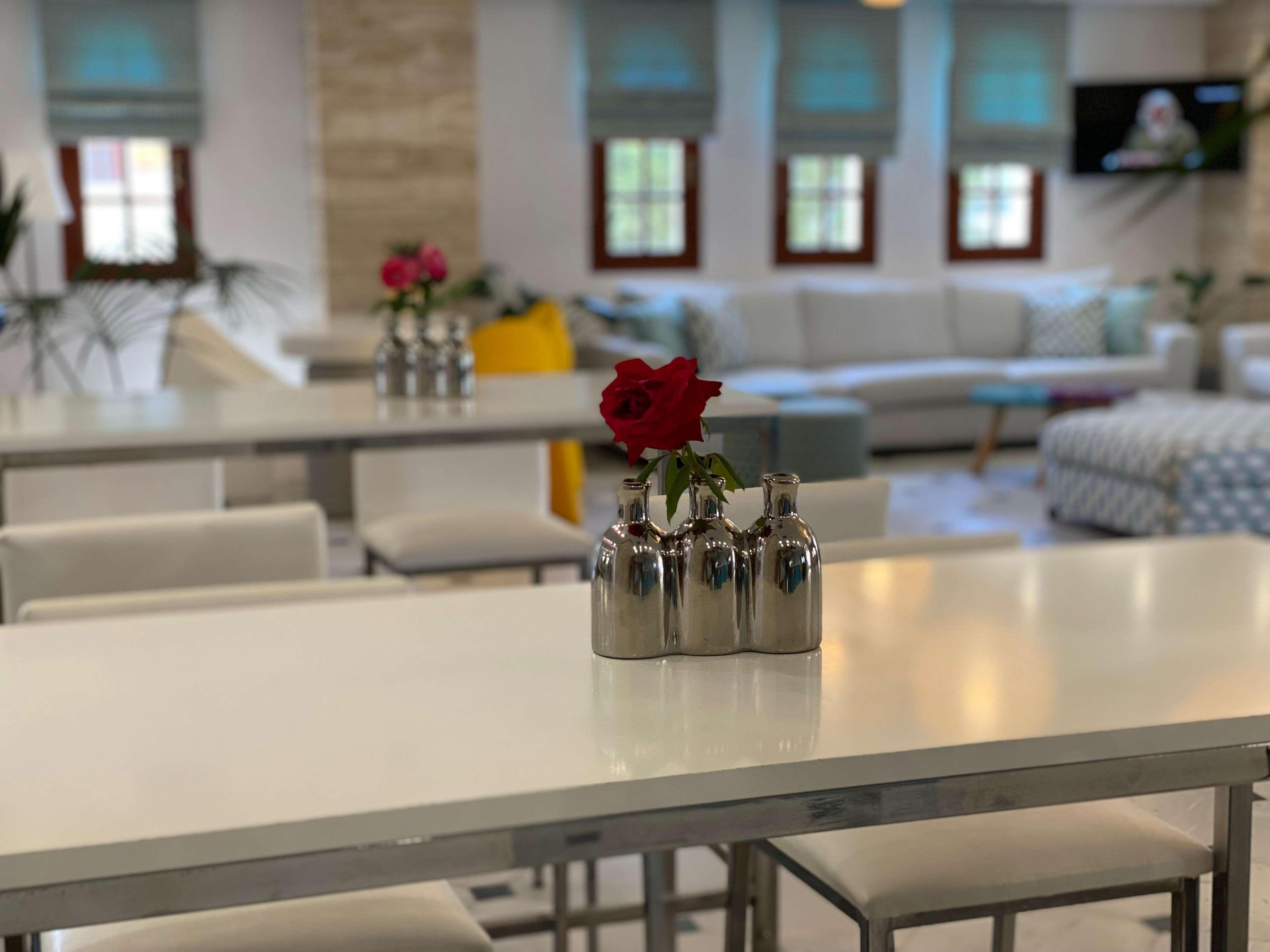 COOEE Kyknos Beach Hotel & Bungalows - photo