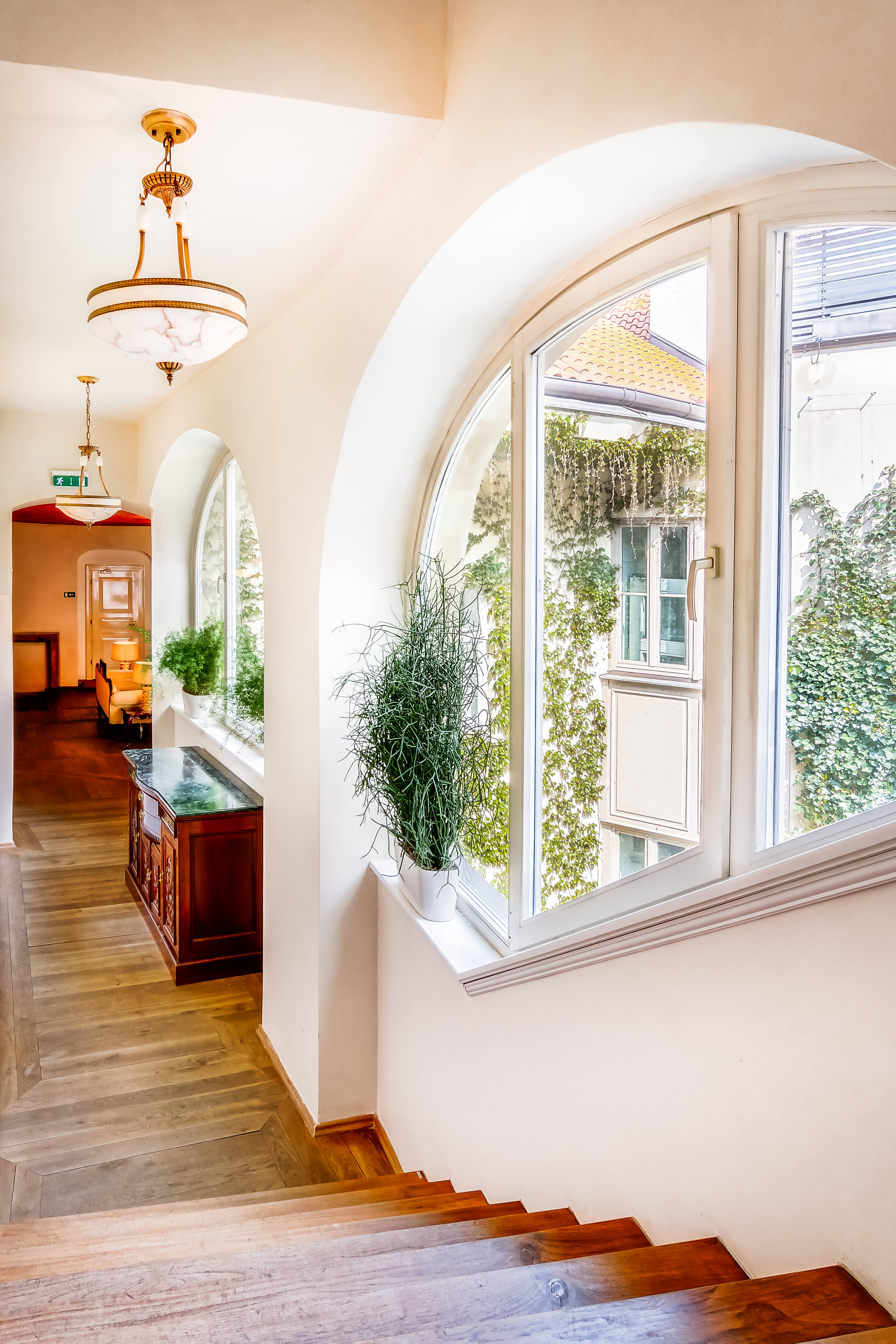 The Dominican - photo