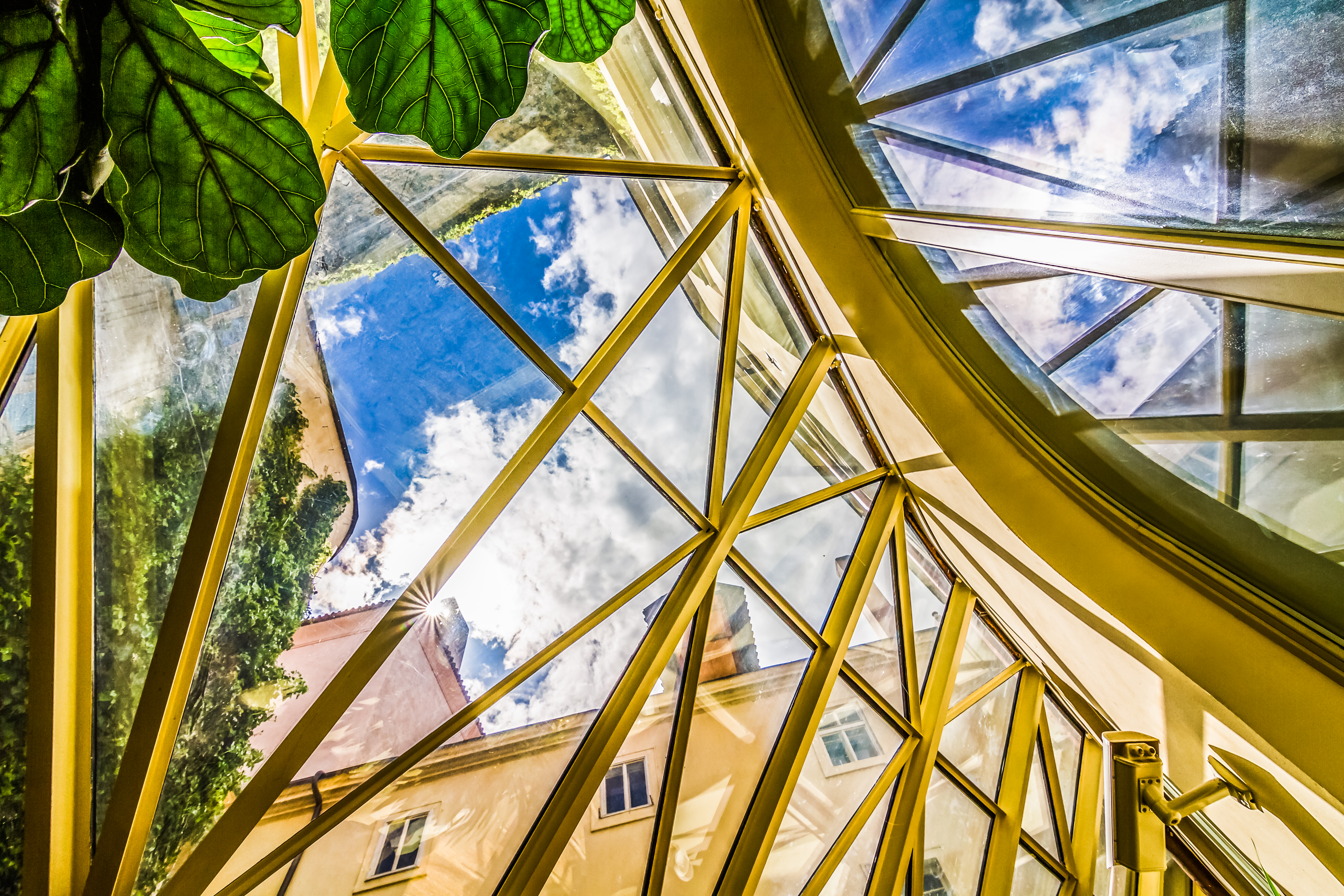 The Dominican - photo