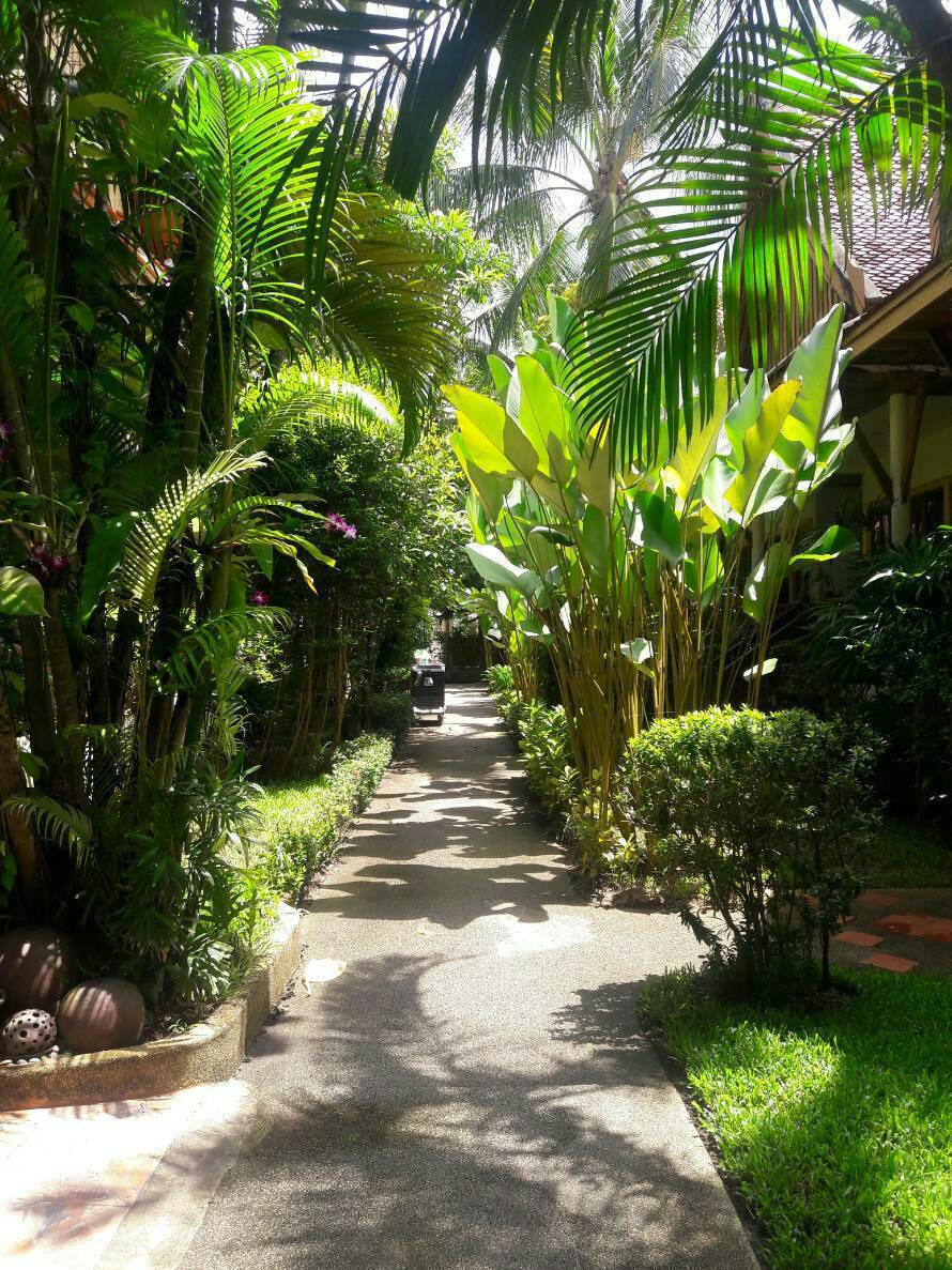 Bangtao Village Resort - Poză