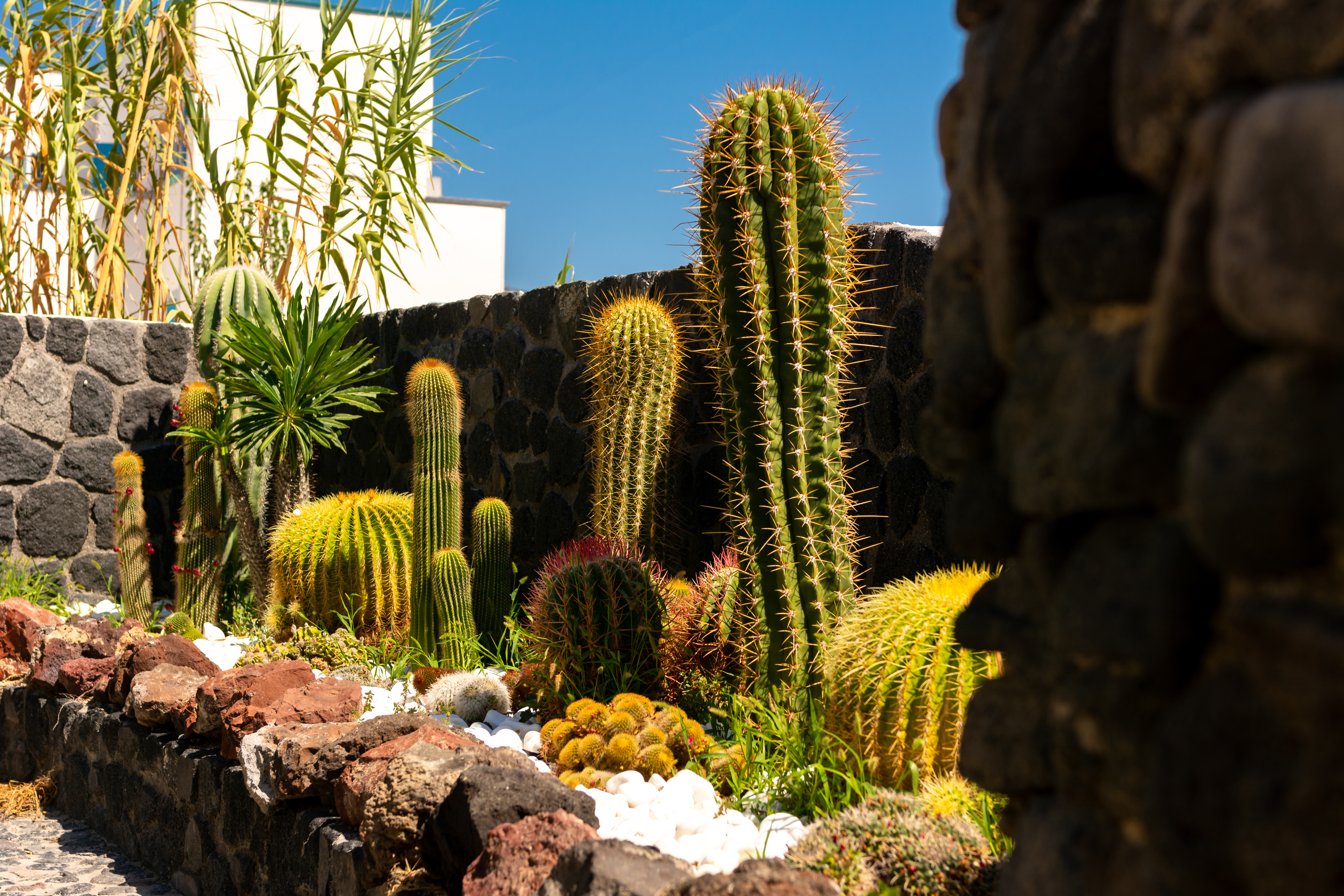 Andreas Aparthotel - photo