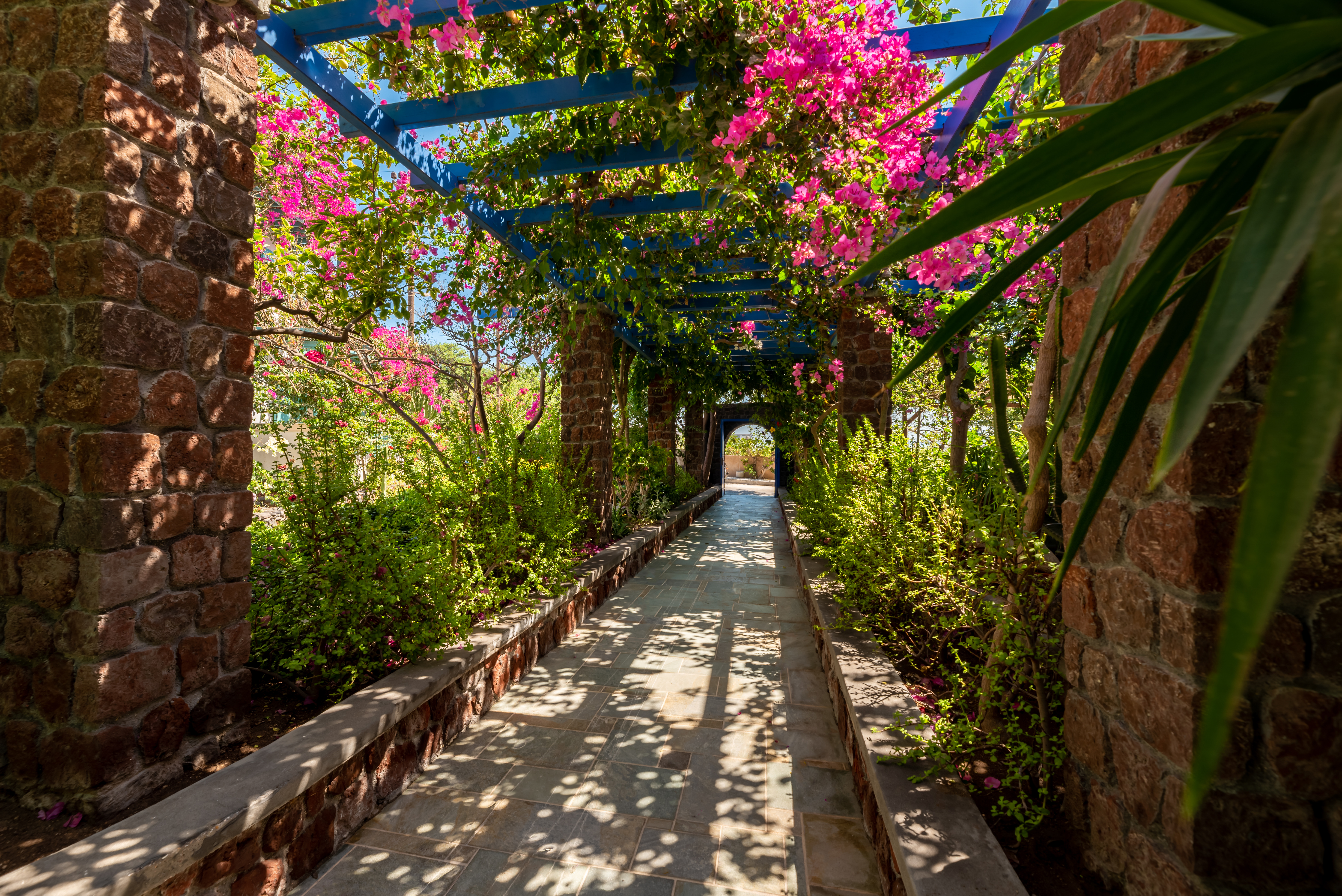 Andreas Aparthotel - photo