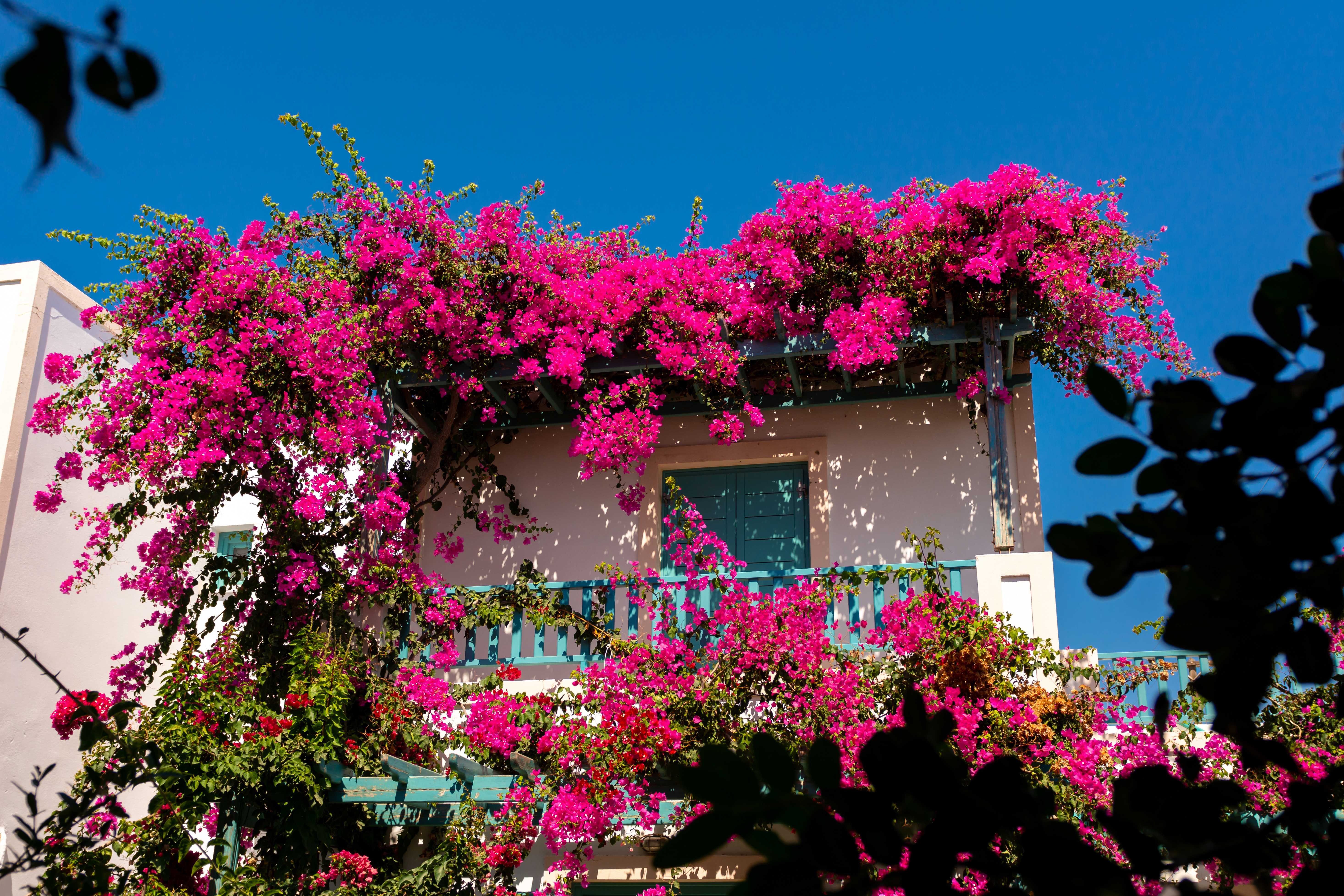 Andreas Aparthotel - photo