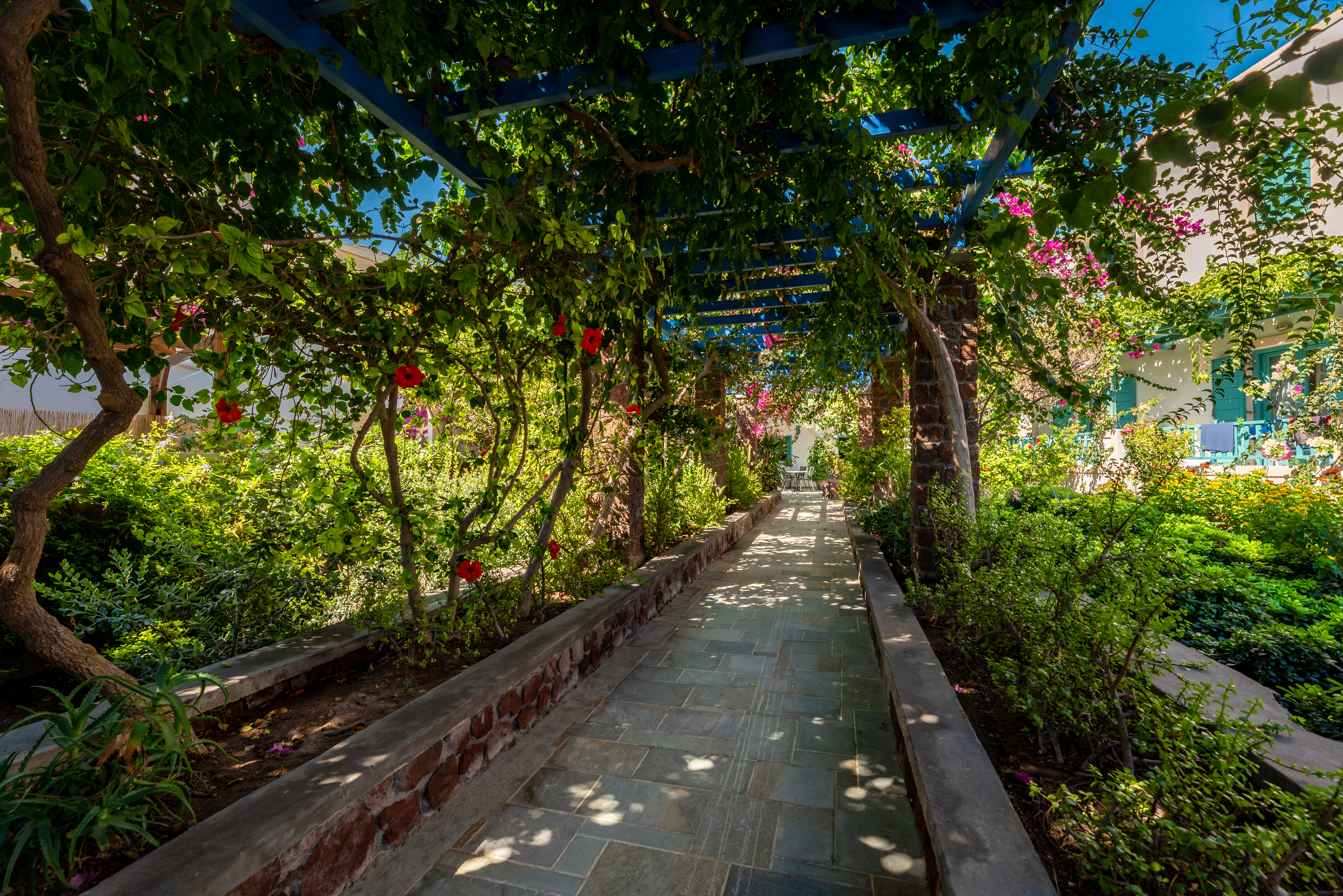 Andreas Aparthotel - photo