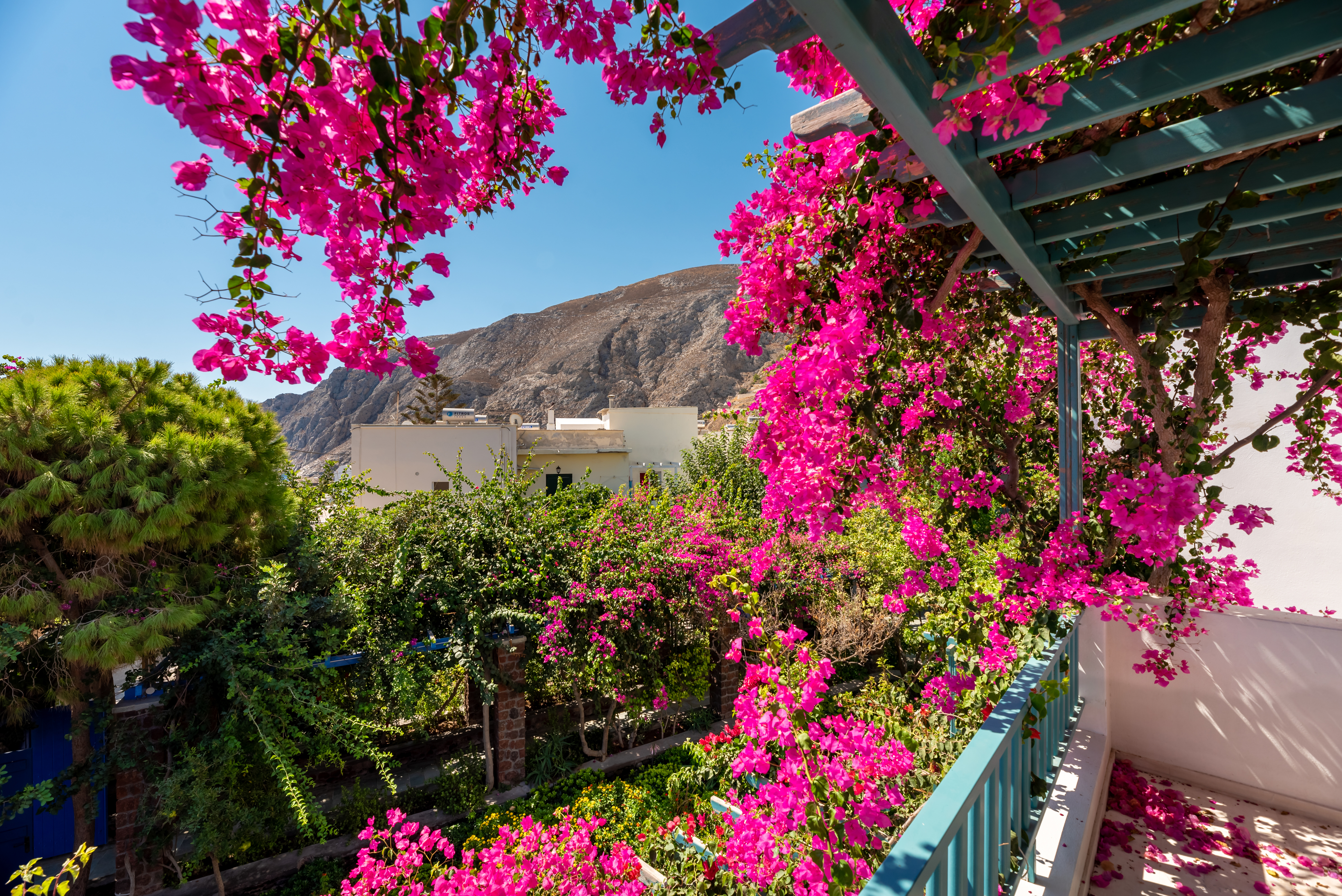 Andreas Aparthotel - photo