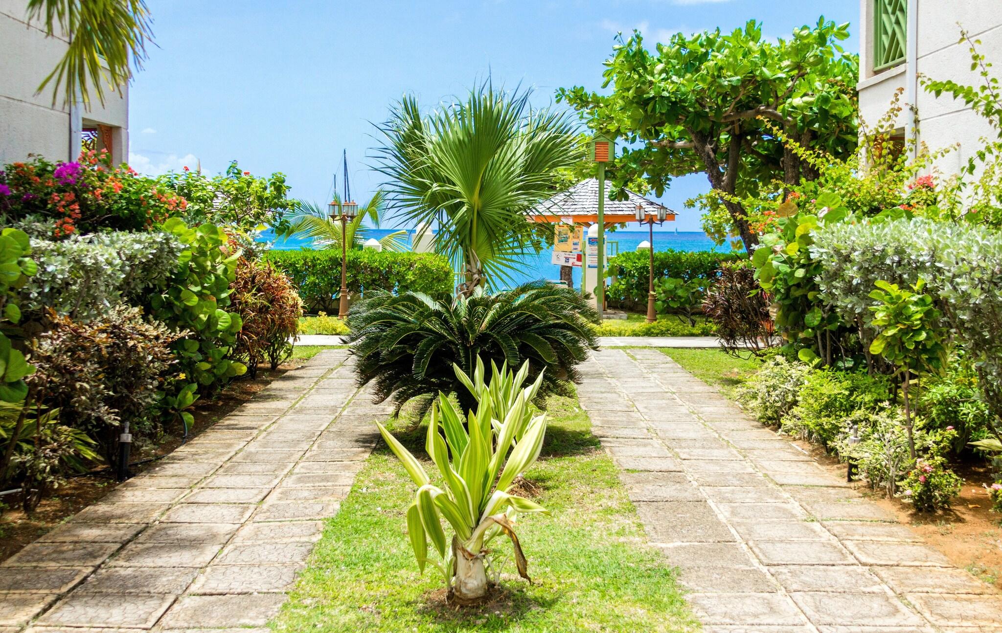 Bay Gardens Beach Resort & Spa by null