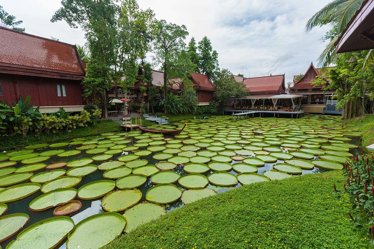 At Panta Phuket - photo