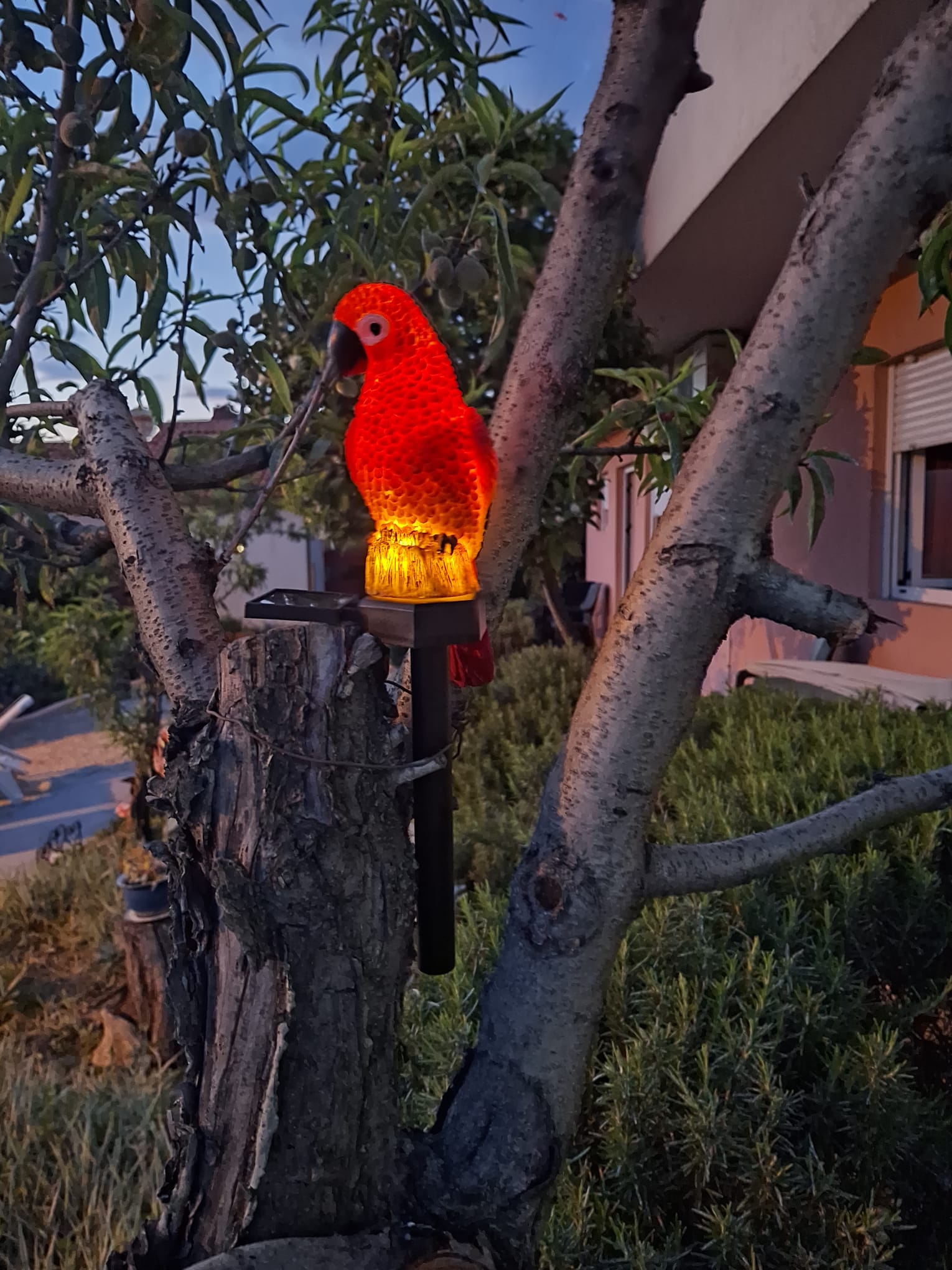 Villa Luketa - photo