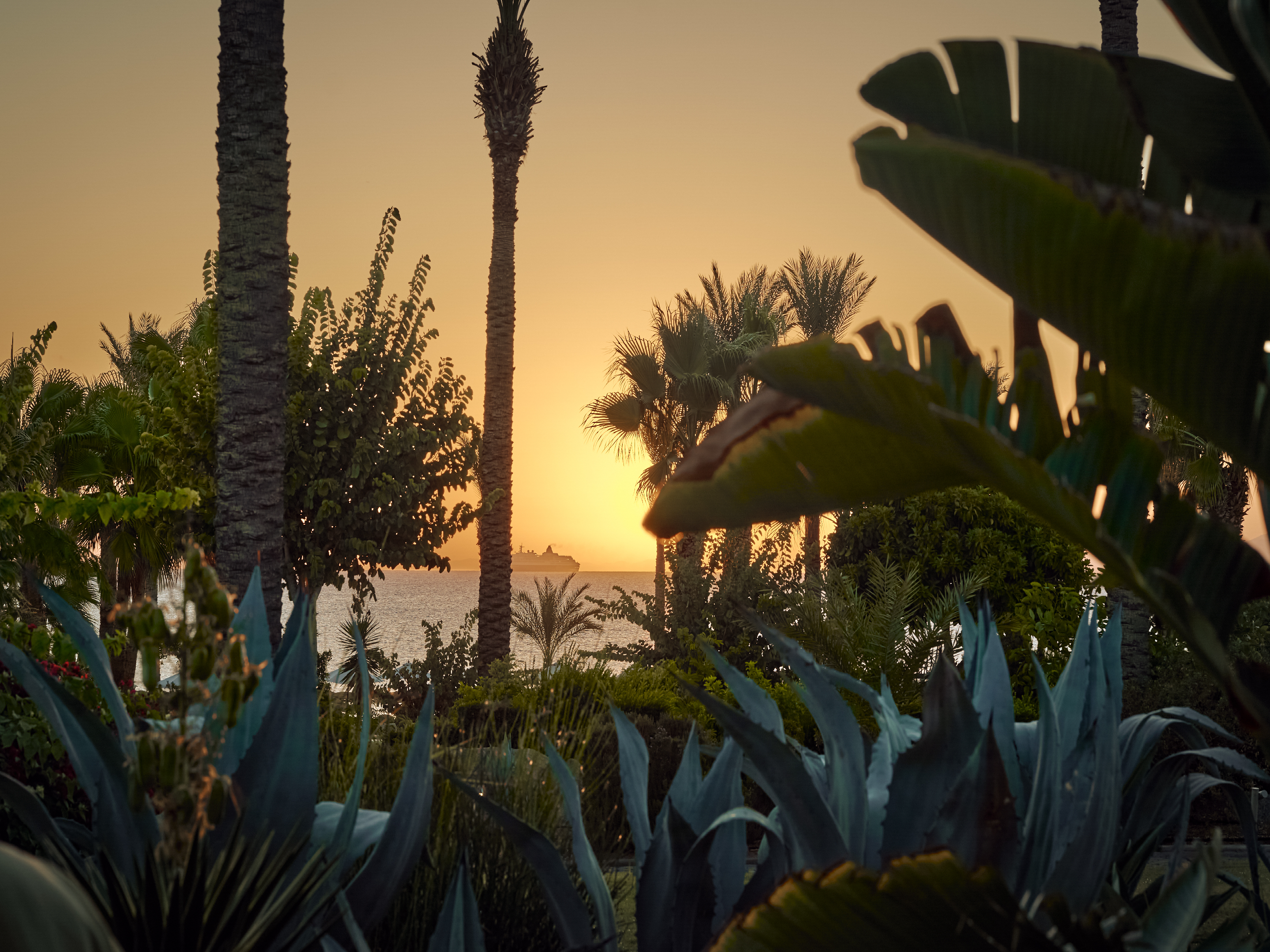 Grecotel LUXME Kos - Poză