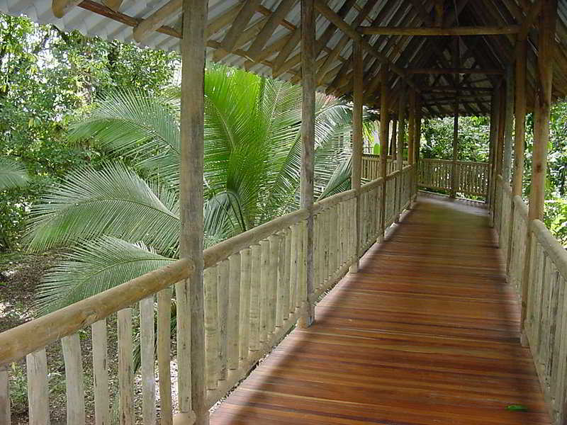 El Bambu de Sarapiqui 