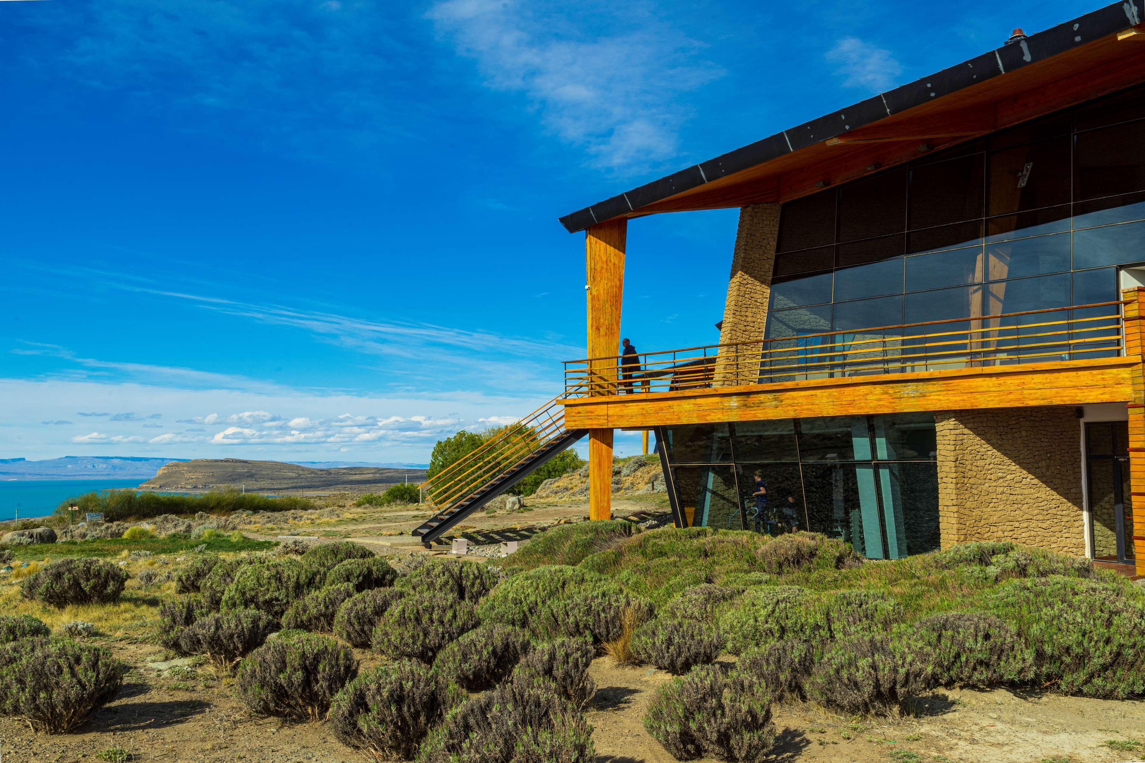 Design Suites Calafate by null