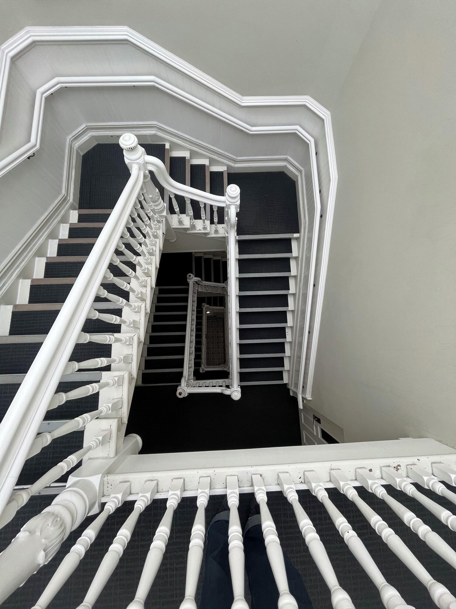 Nomads Capital Hostel Wellington by null