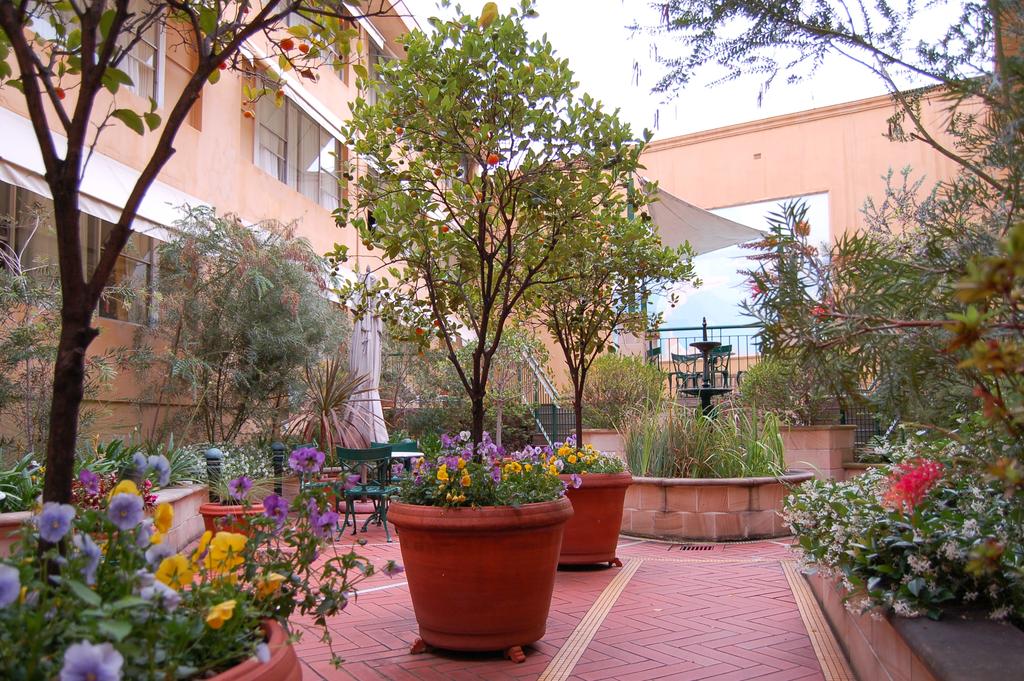 Oxford House by null