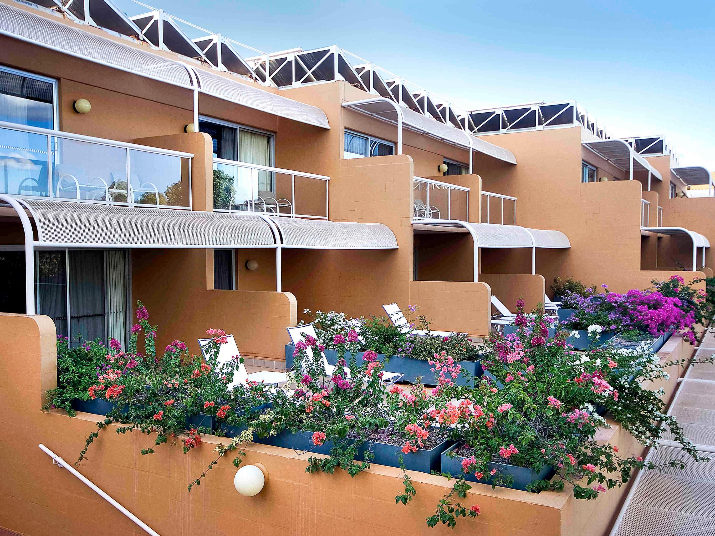 Sails in the Desert by null