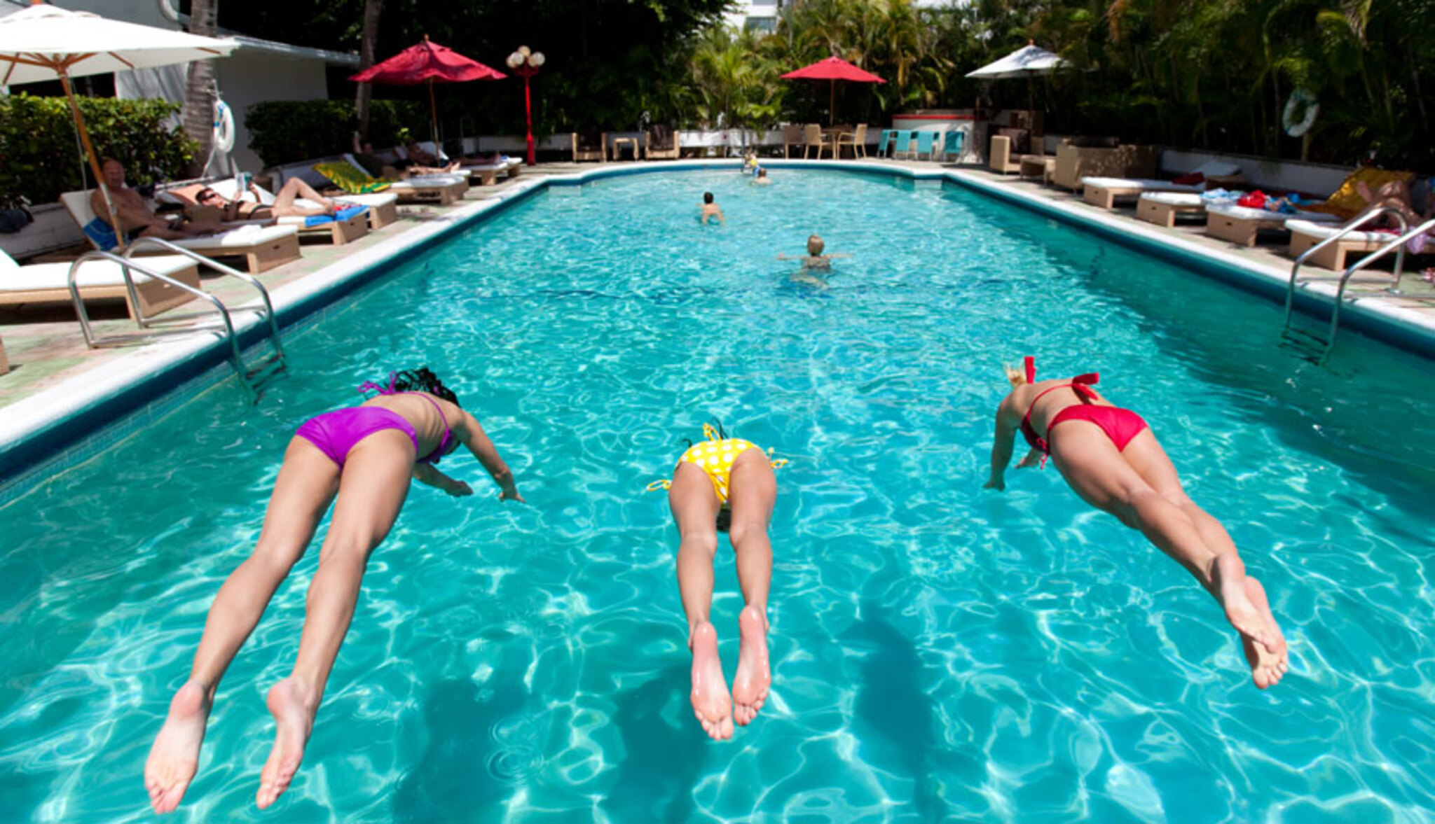 Dorchester Miami Beach Hotel & Suites by null