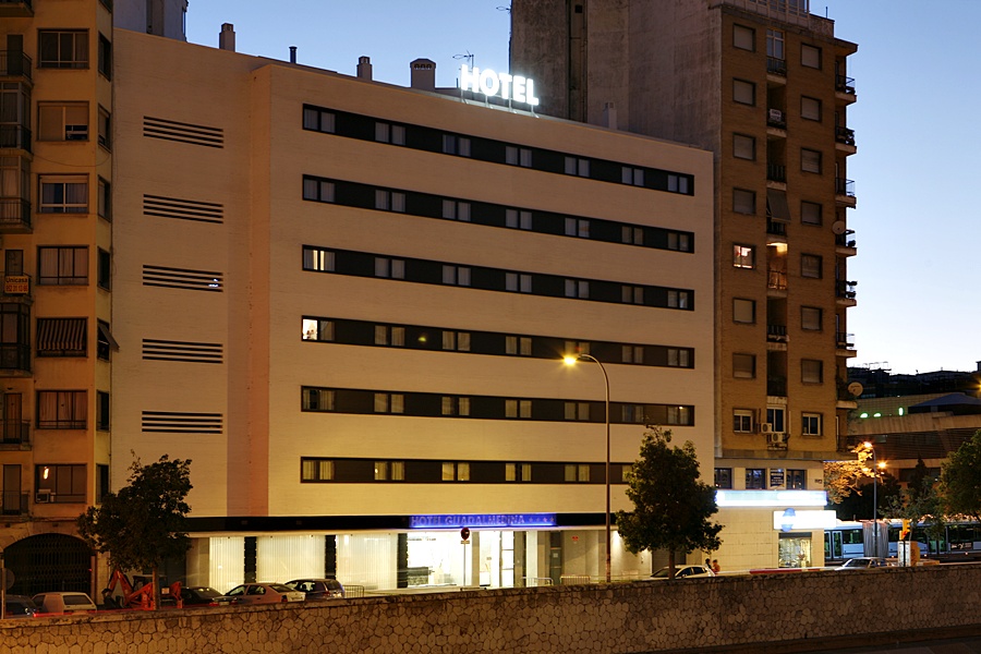 Hotel Guadalmedina image