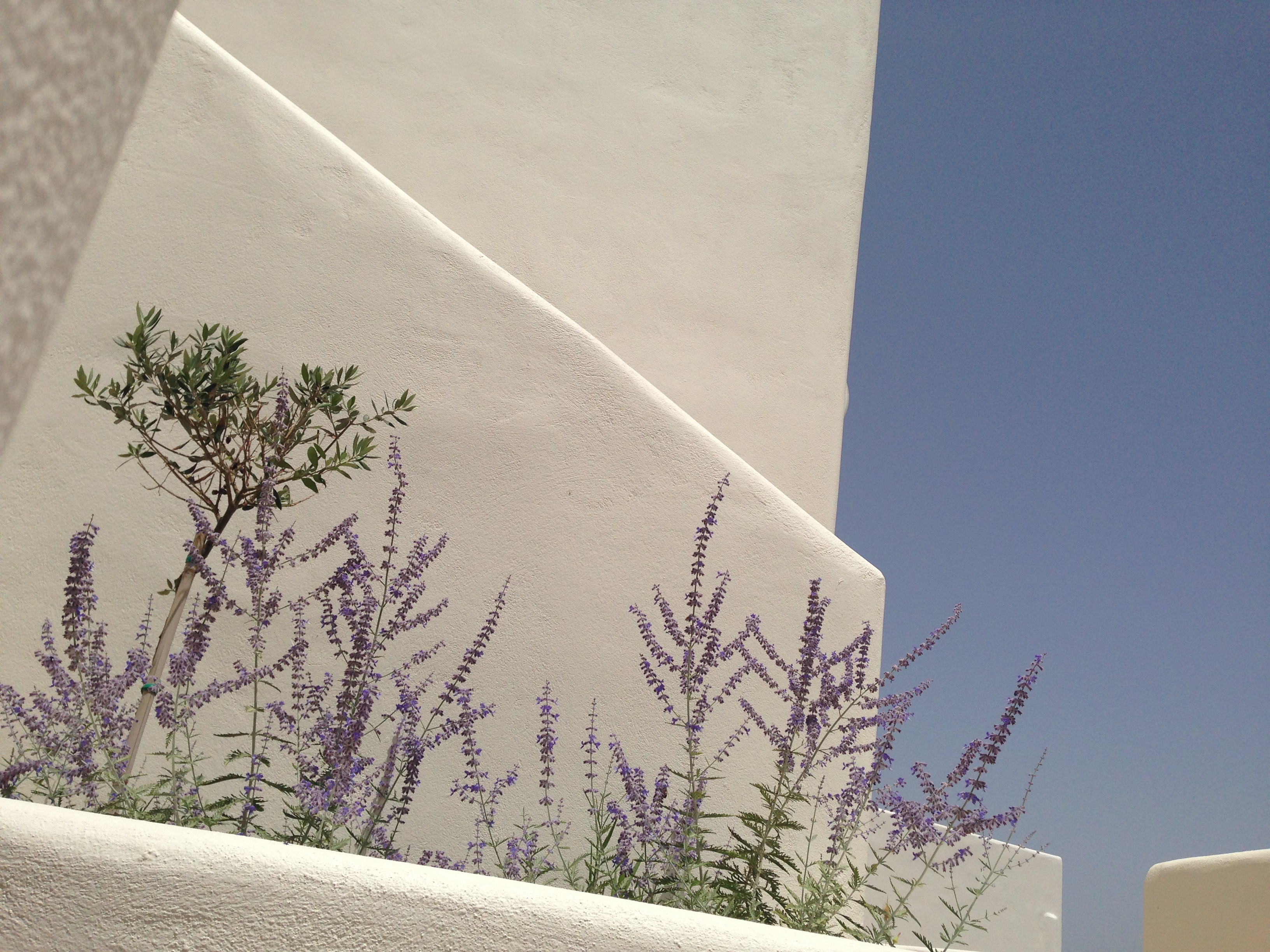 Archipelagos Resort & Villas by null