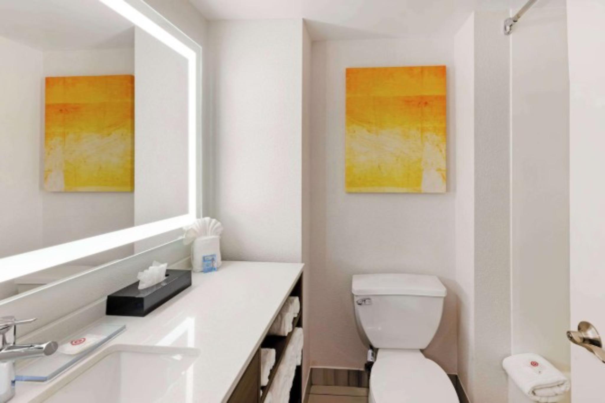 Comfort Inn & Suites Arlington Heights Schaumburg