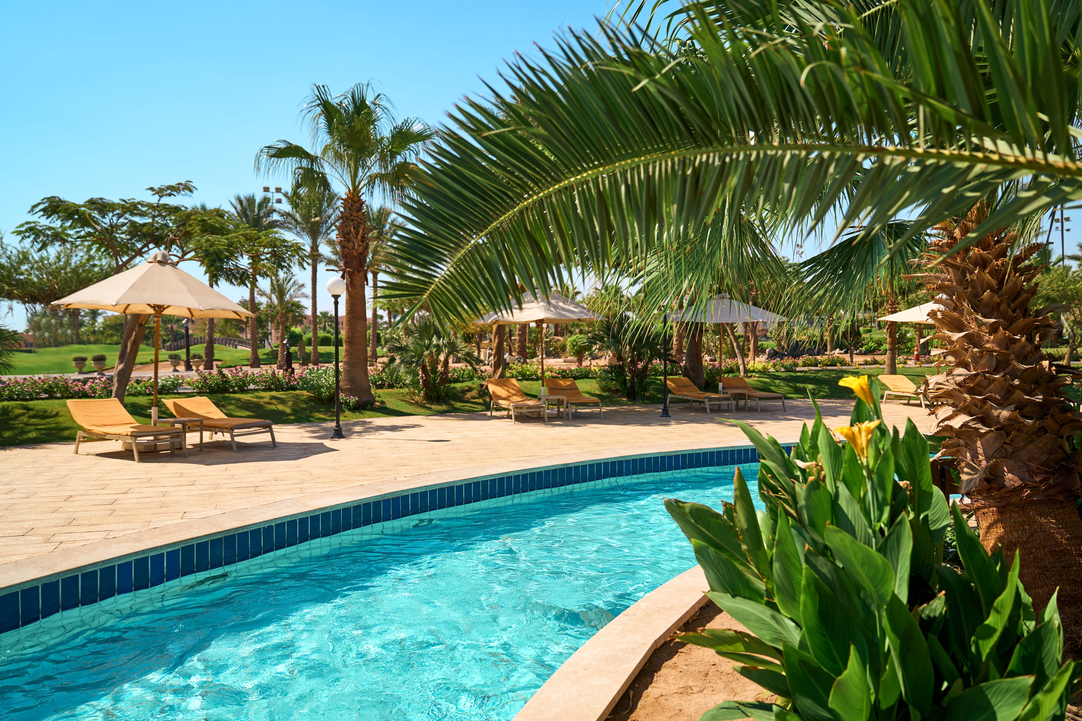 Steigenberger ALDAU Beach Hotel by null