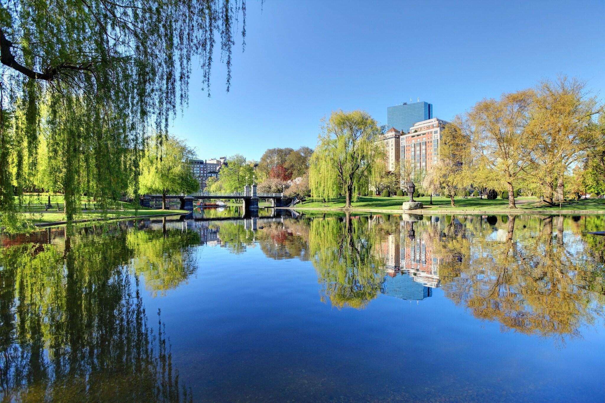 Taj Boston by null