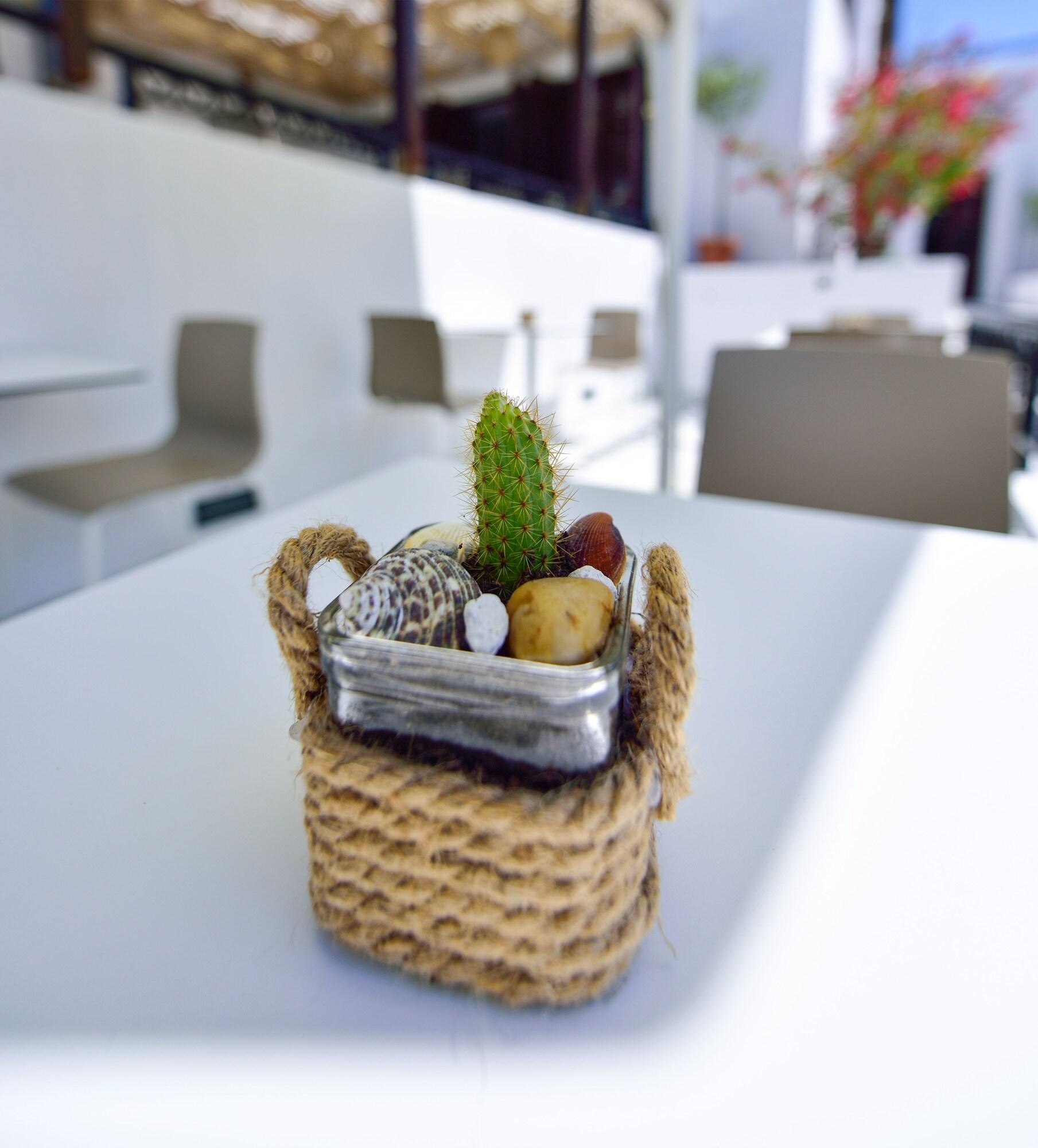 Kalidon Beach Hotel by null