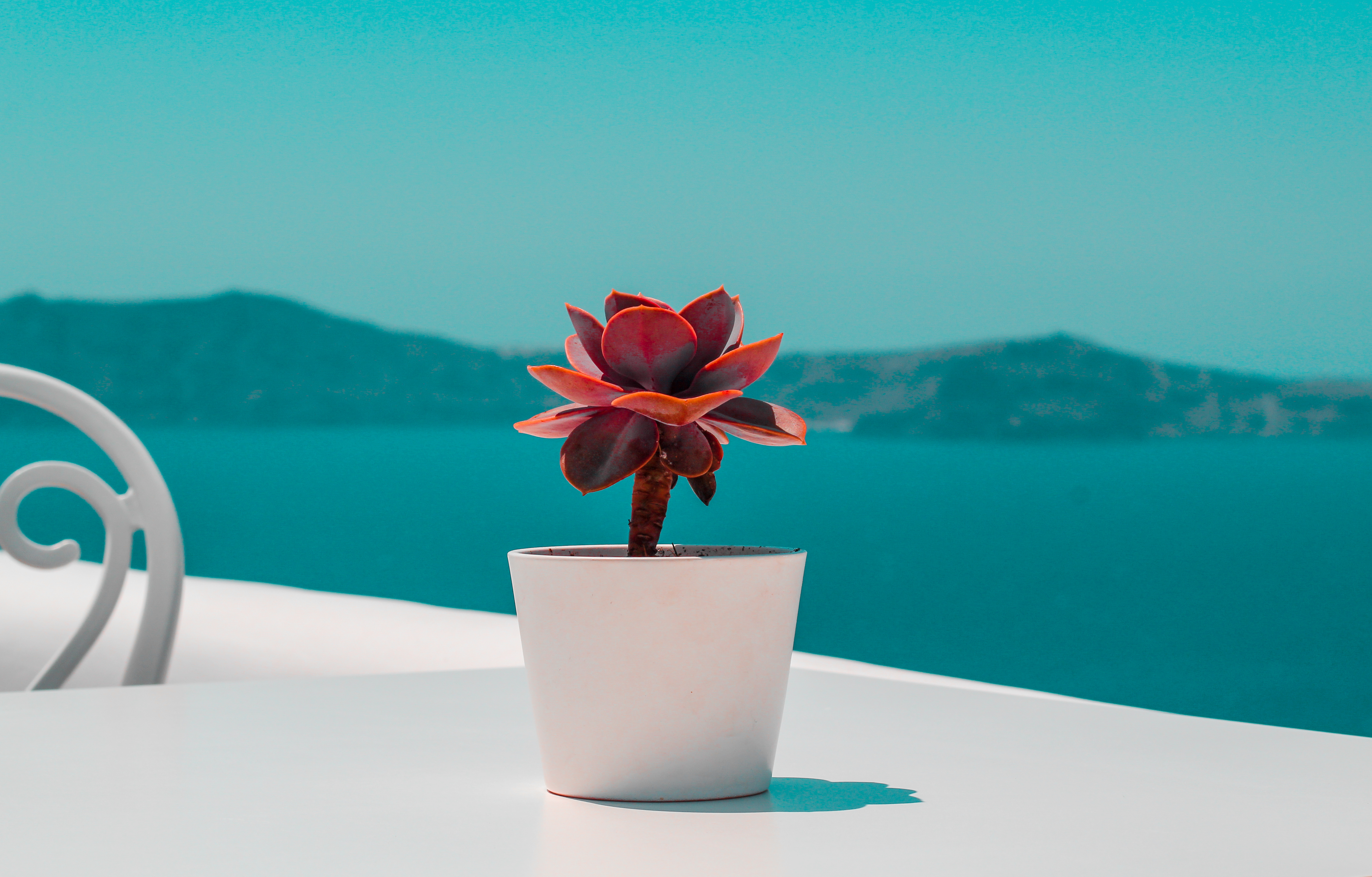 Athina Luxury Suites - photo