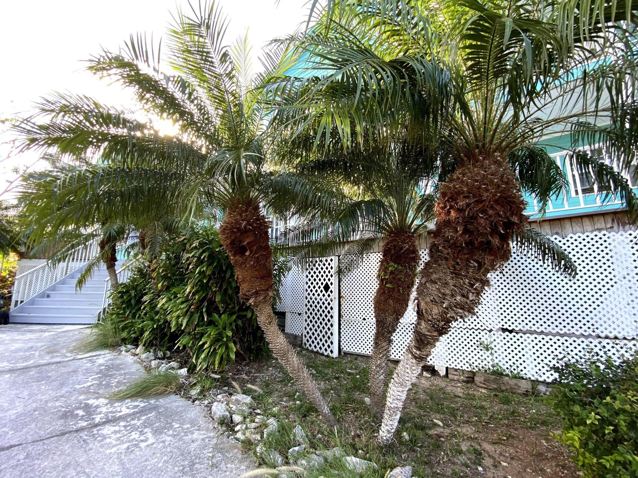 Hideaways at Palm Bay by null