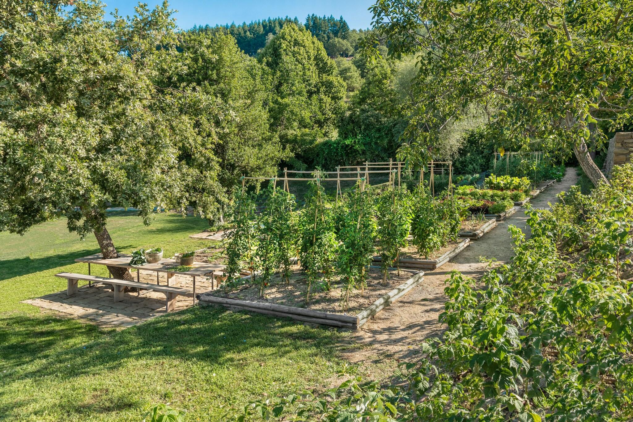 Badia di Pomaio by null