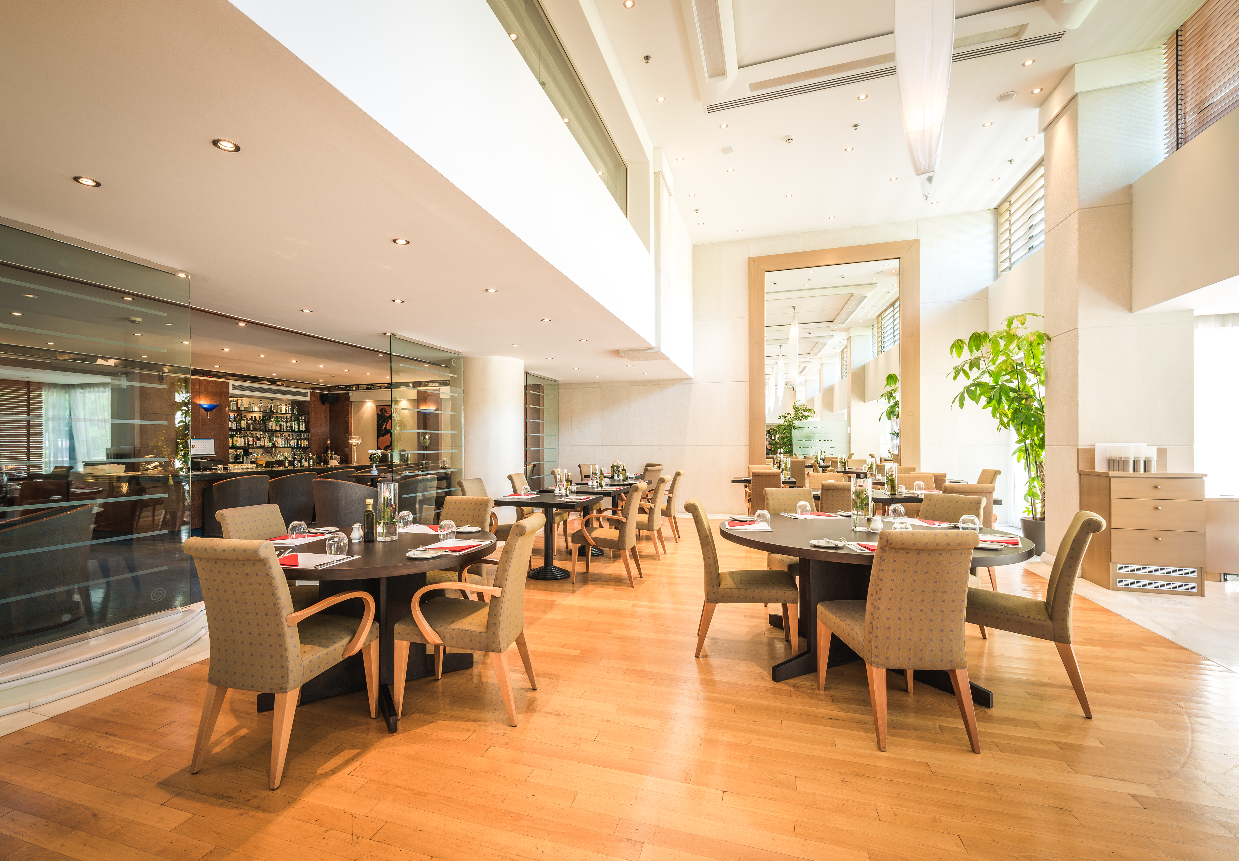 The Golden Age Hotel of Athens by null