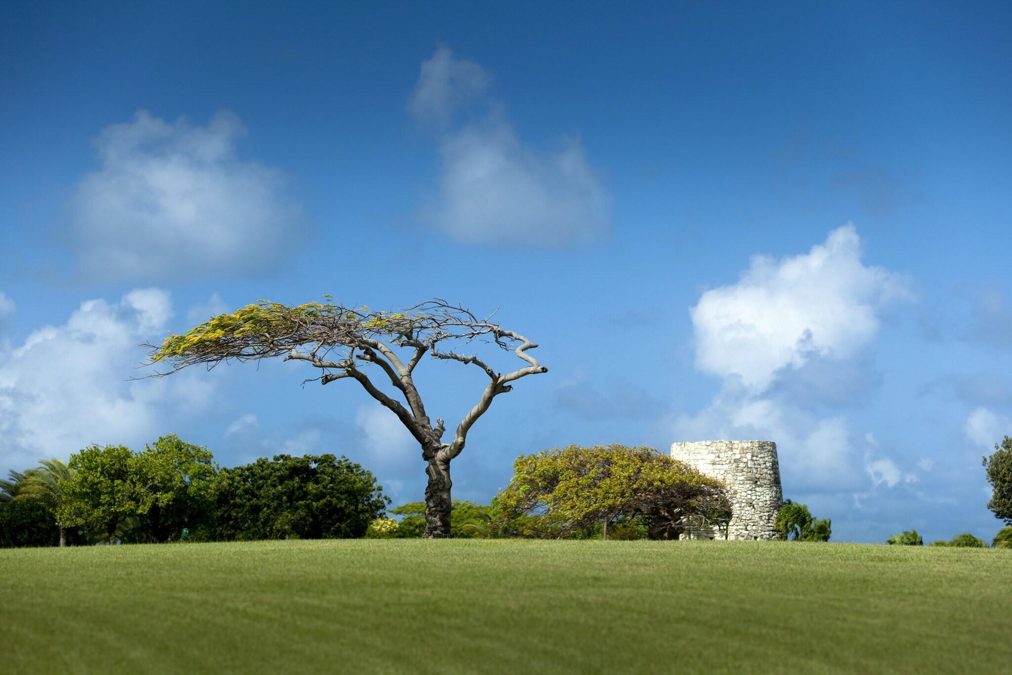 Jumby Bay Island by null