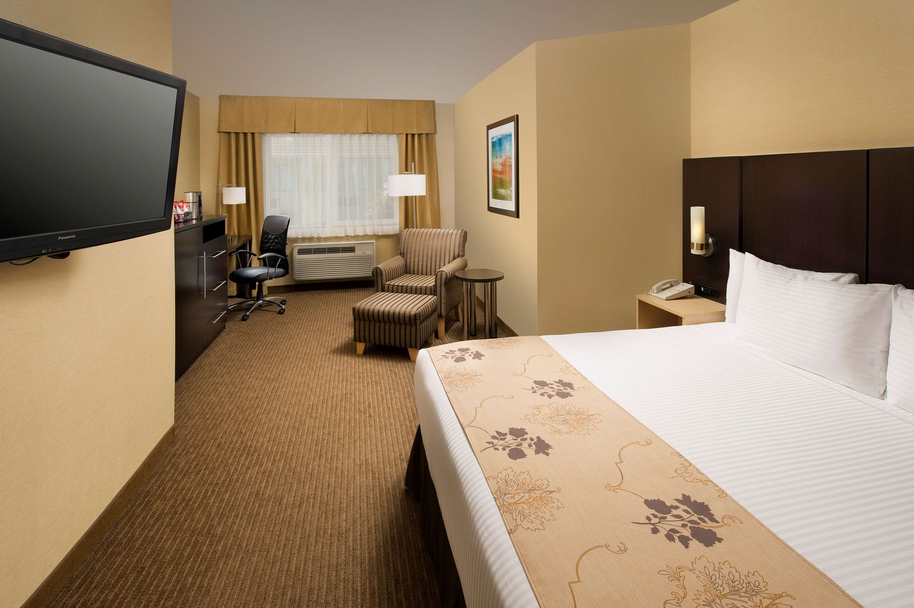 Best Western Seattle Airport Hotel Room Type - 1 Queen Bed, Nonsmoking