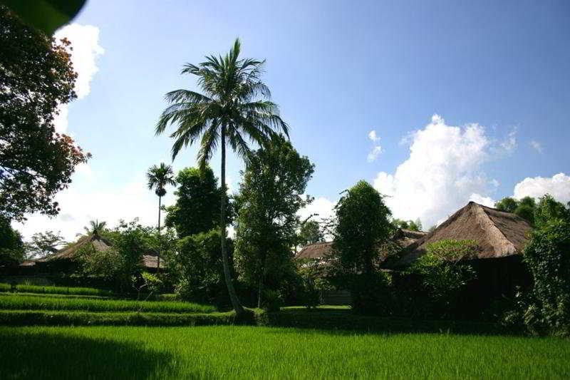 Ananda Cottages - nuotrauka