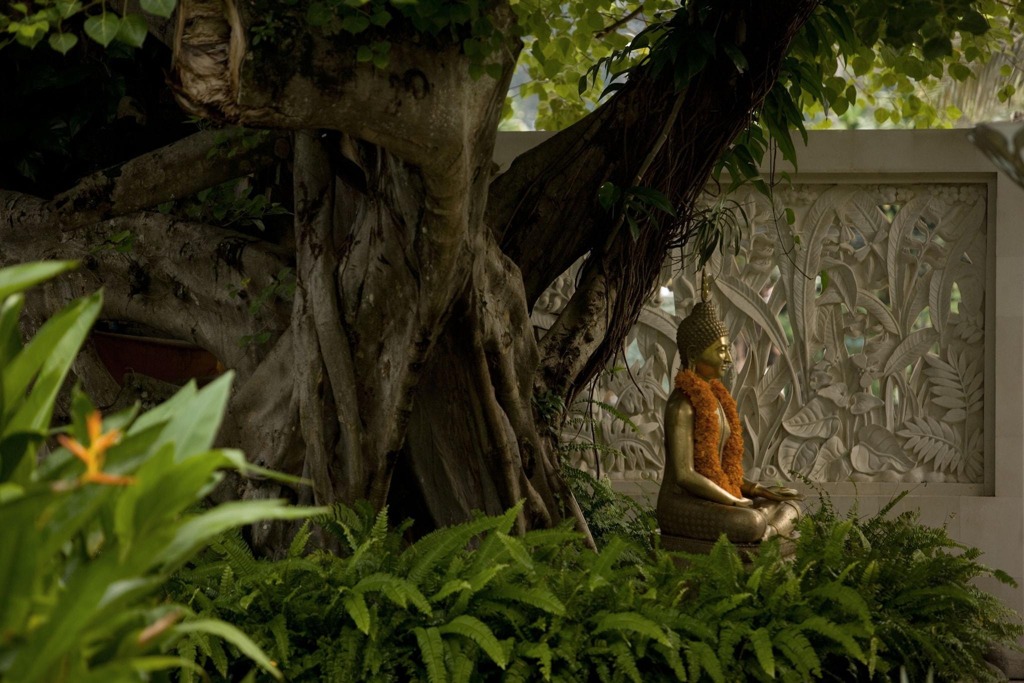 Segara Village - photo