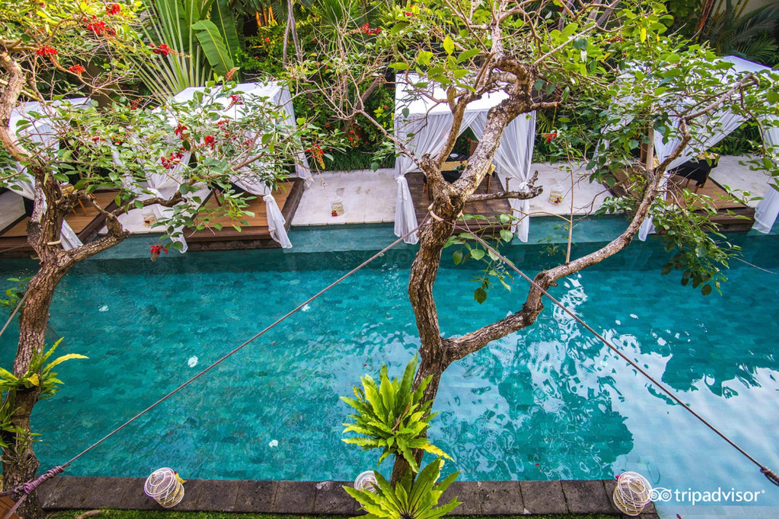 The Elysian Spa by null