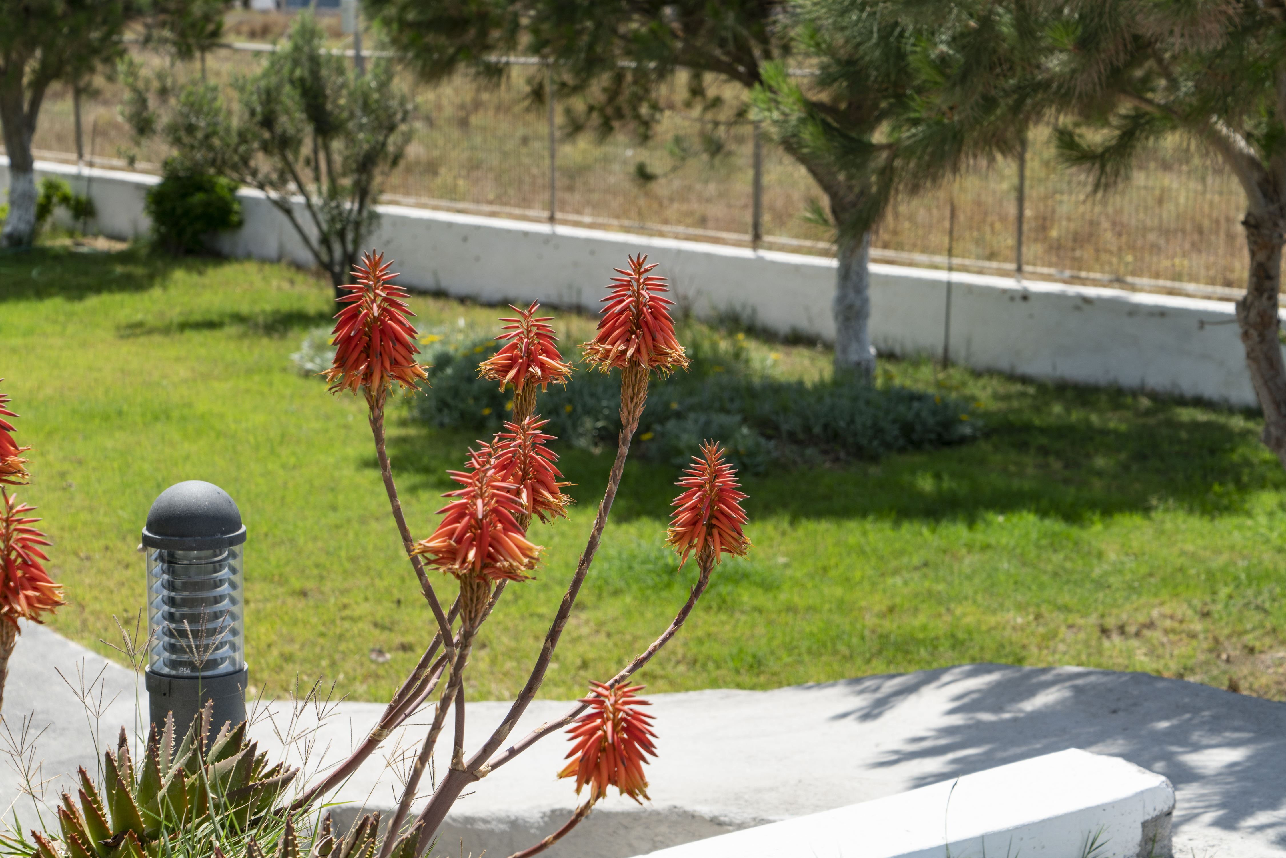 Bella Santorini - photo