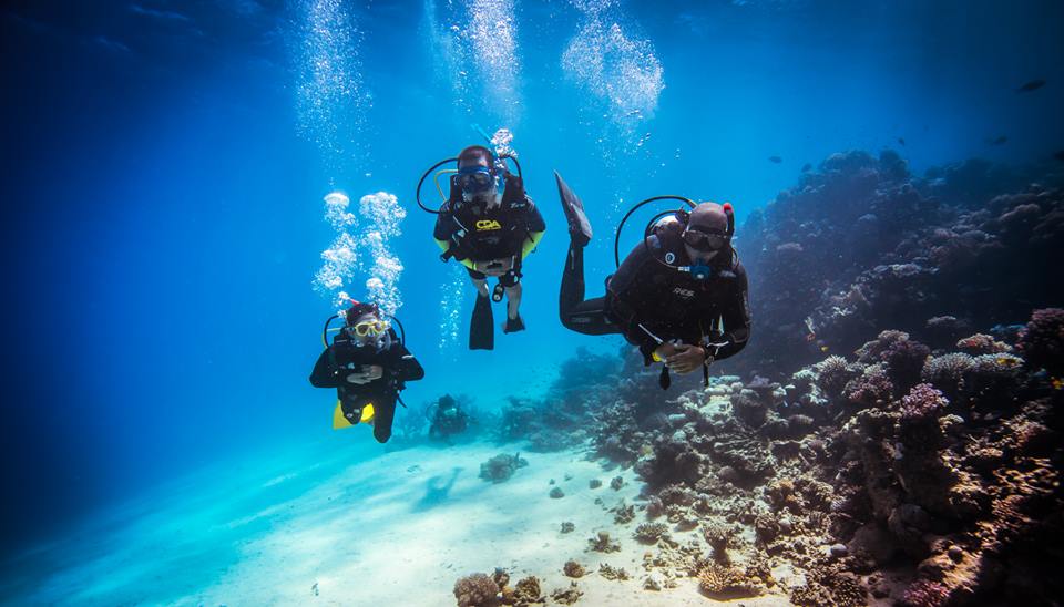 The Oberoi Beach Resort, Sahl Hasheesh by null