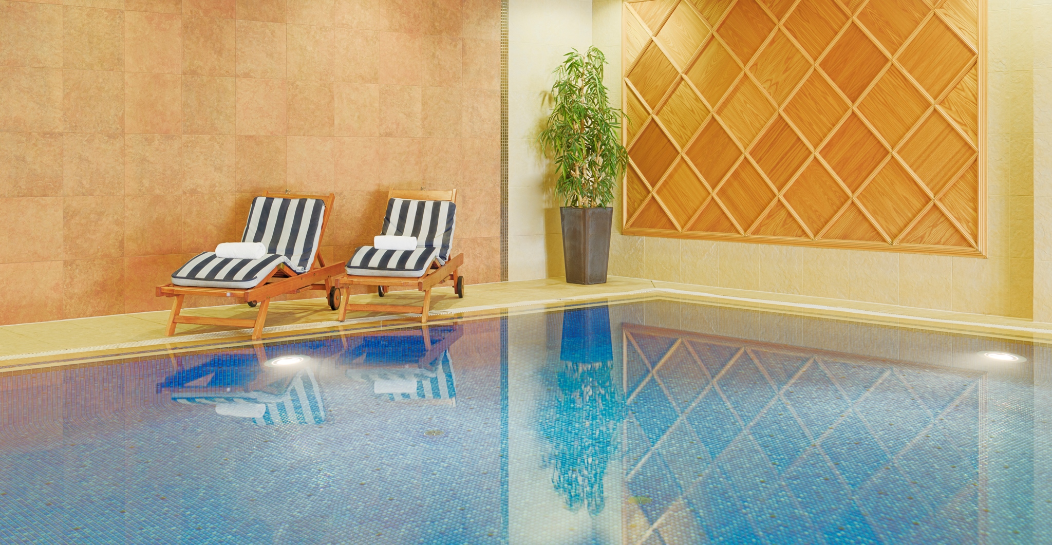 The Killarney Park by null