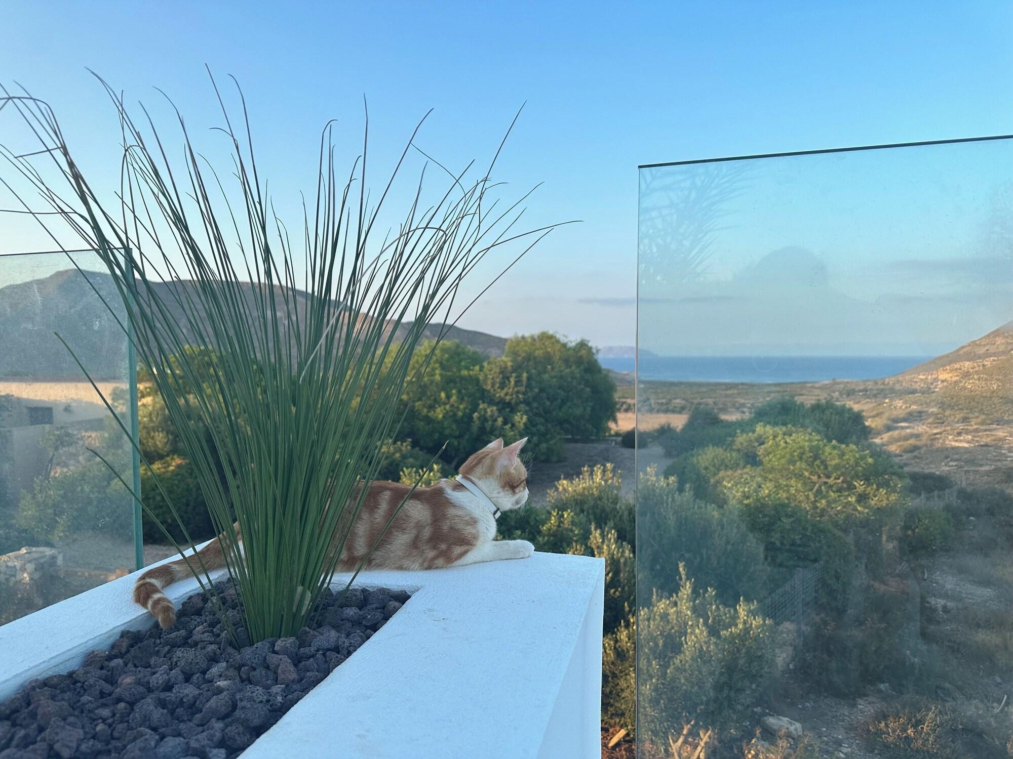 Cortijo Boutique Siete Calas by null